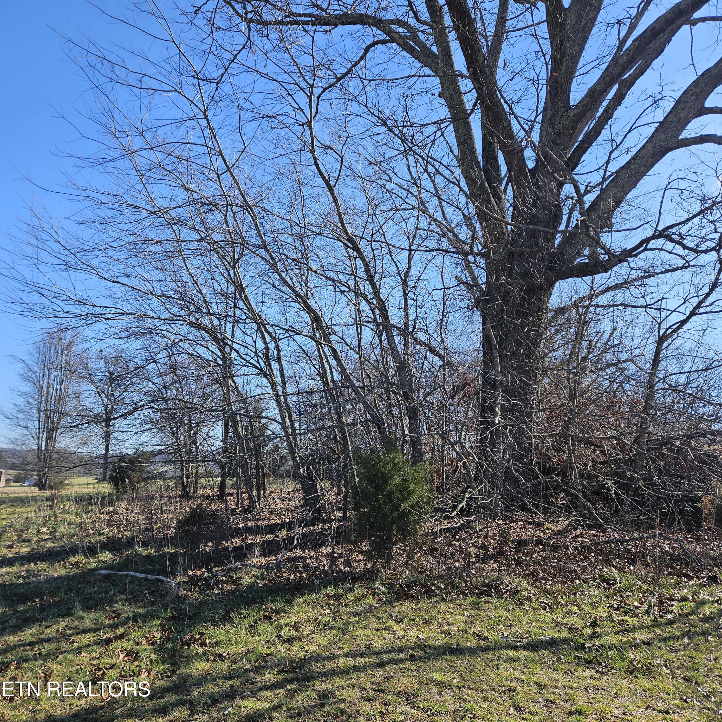 Lot 25 Ranch Road Blaine TN 37709
