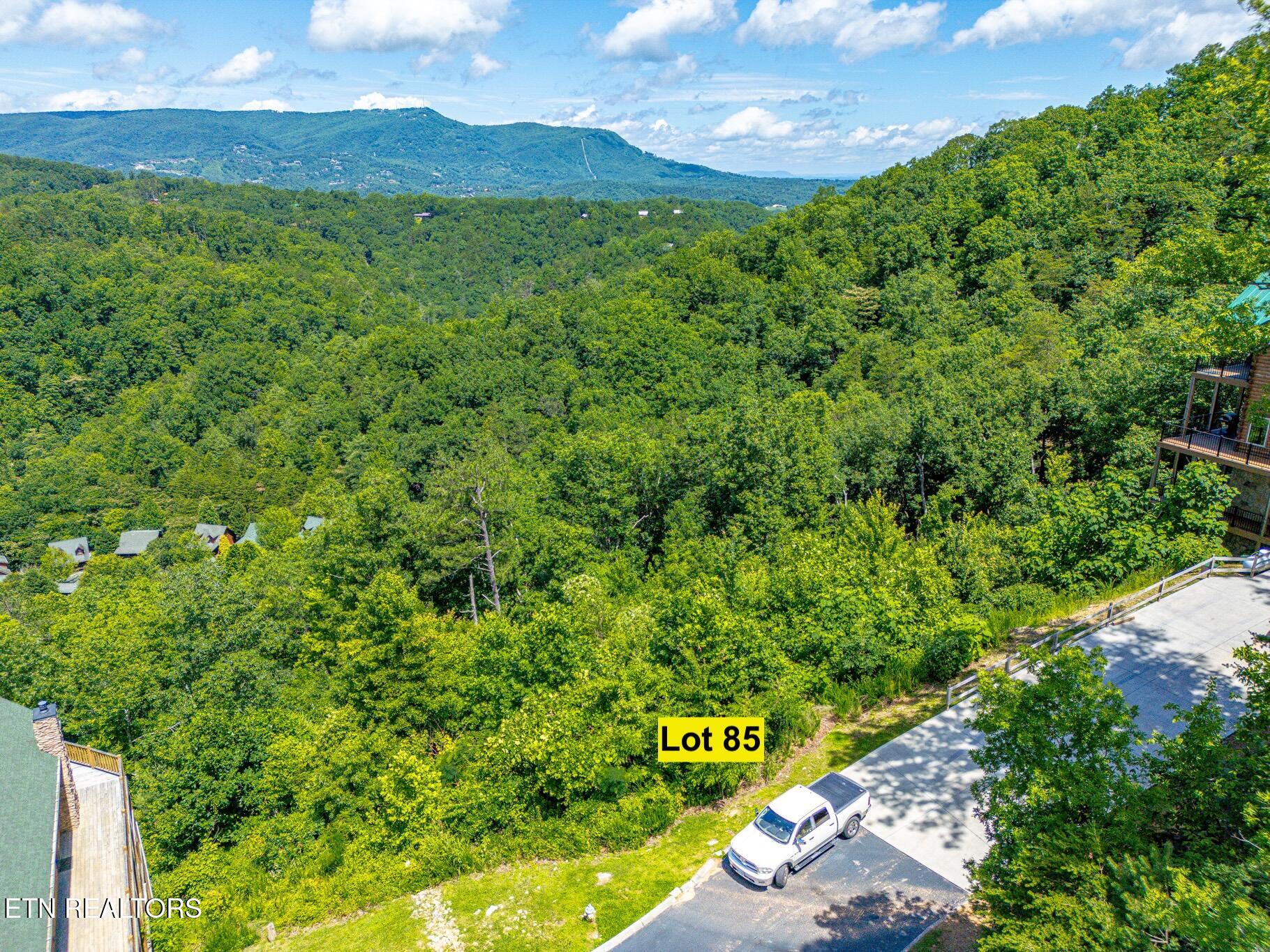 2220 Smoky Overlook Way Sevierville TN 37862