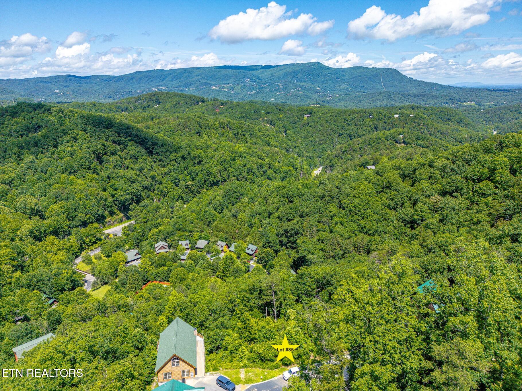 2220 Smoky Overlook Way Sevierville TN 37862