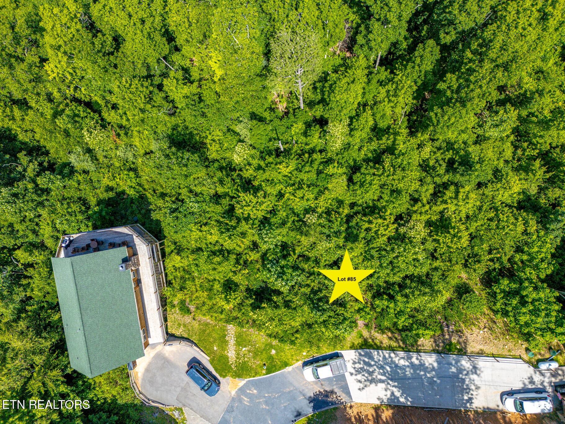 2220 Smoky Overlook Way Sevierville TN 37862