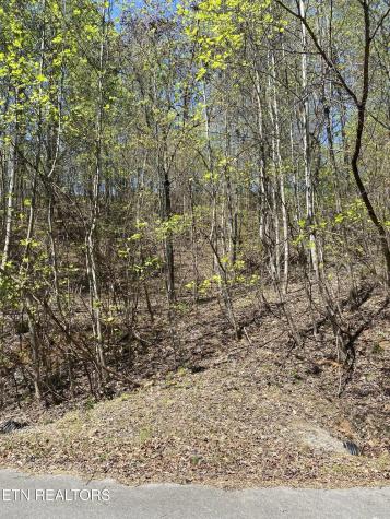 Lot 549 Garnet Trail New Tazewell TN 37825
