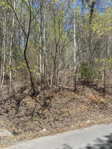 Lot 549 Garnet Trail New Tazewell TN 37825