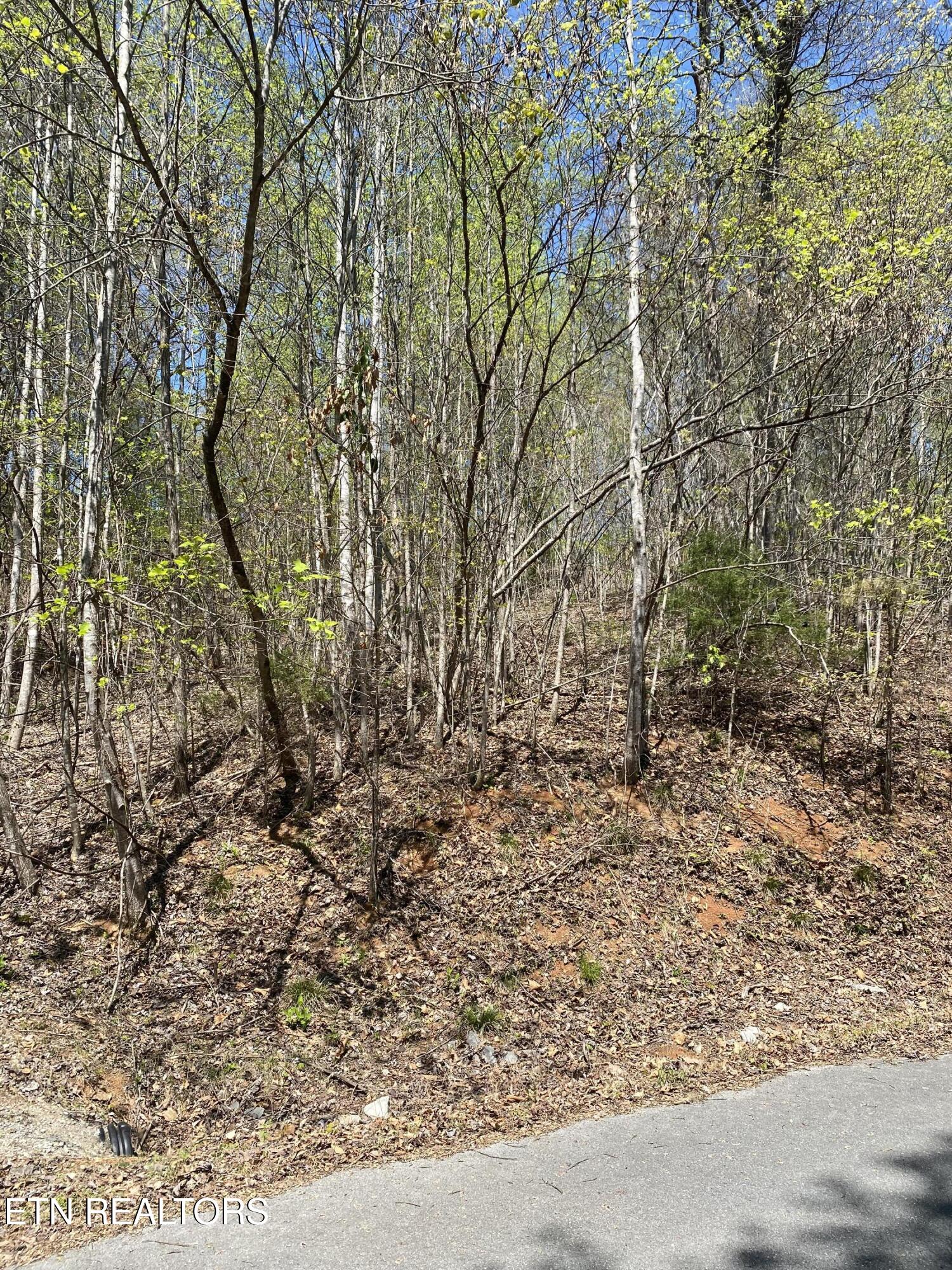 Lot 549 Garnet Trail New Tazewell TN 37825