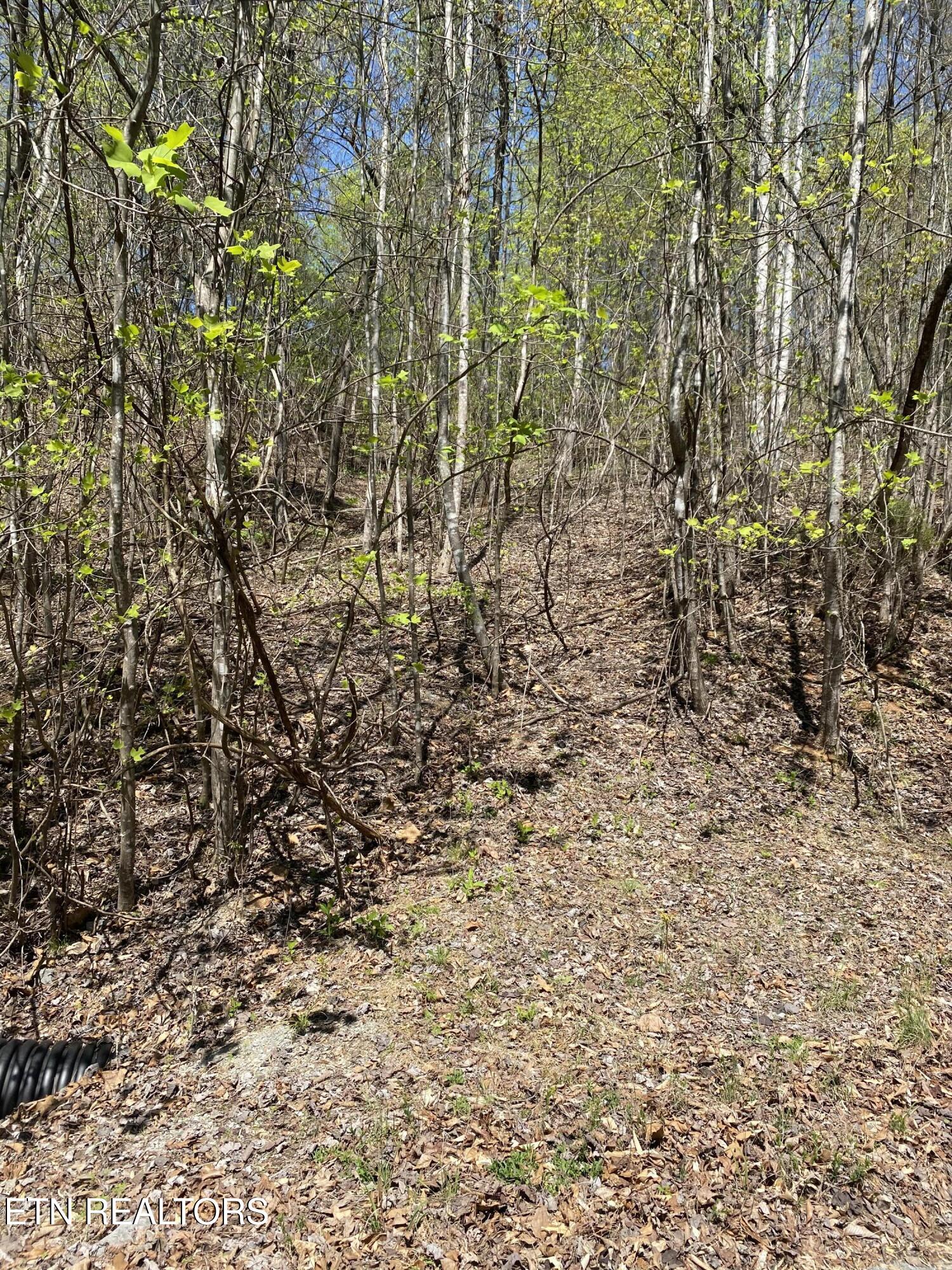 Lot 549 Garnet Trail New Tazewell TN 37825