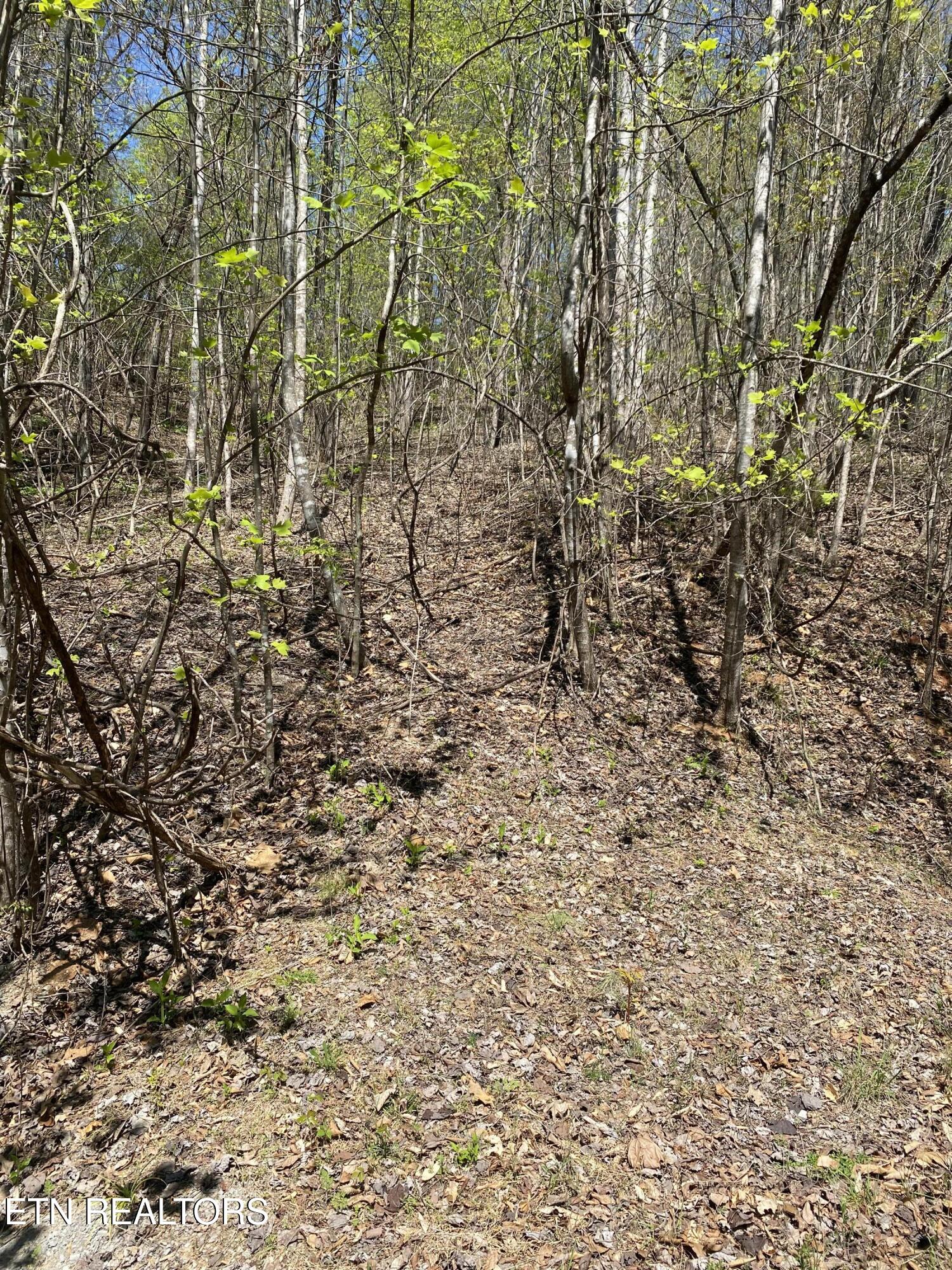 Lot 549 Garnet Trail New Tazewell TN 37825