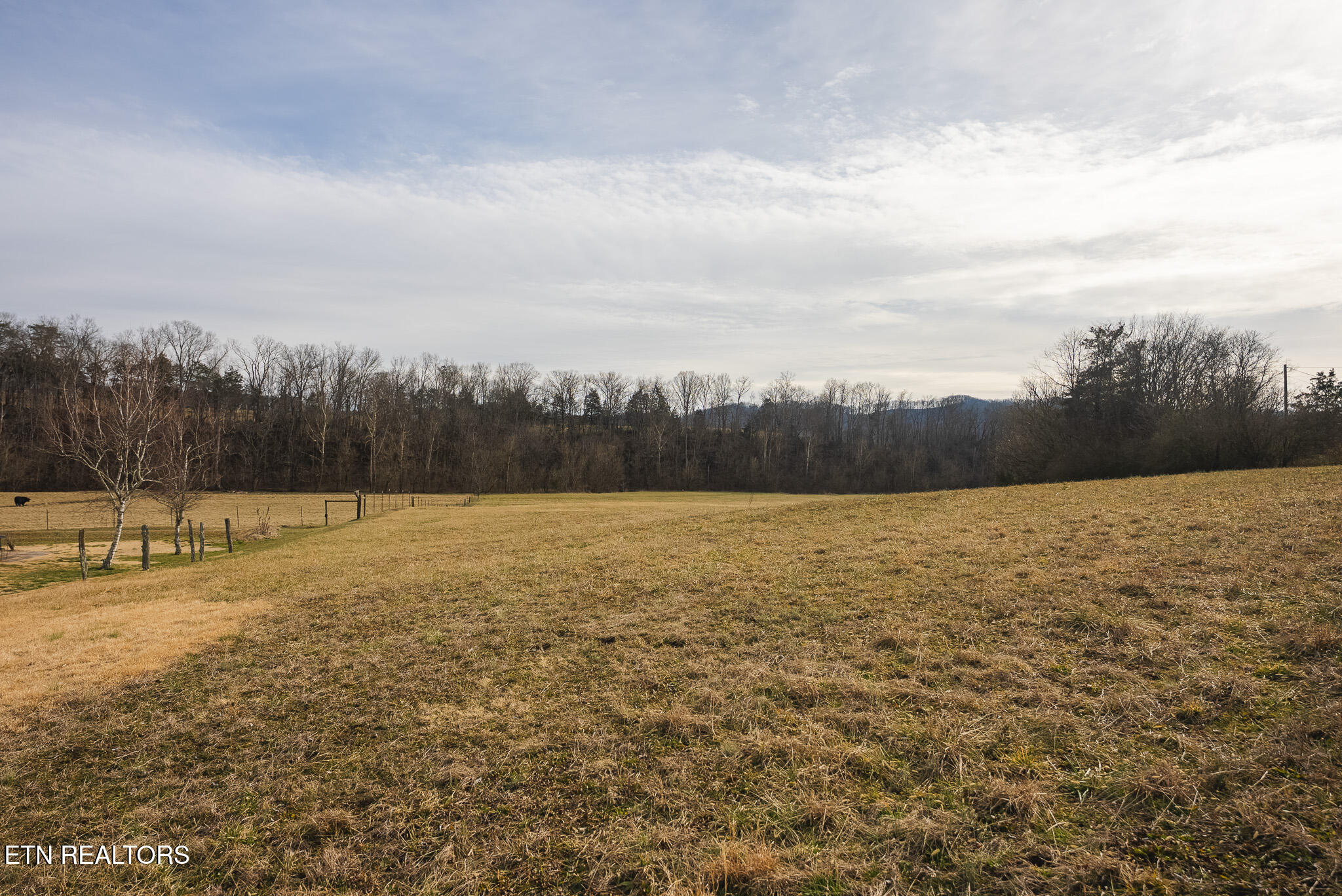 0 Cherry Street Rutledge TN 37861