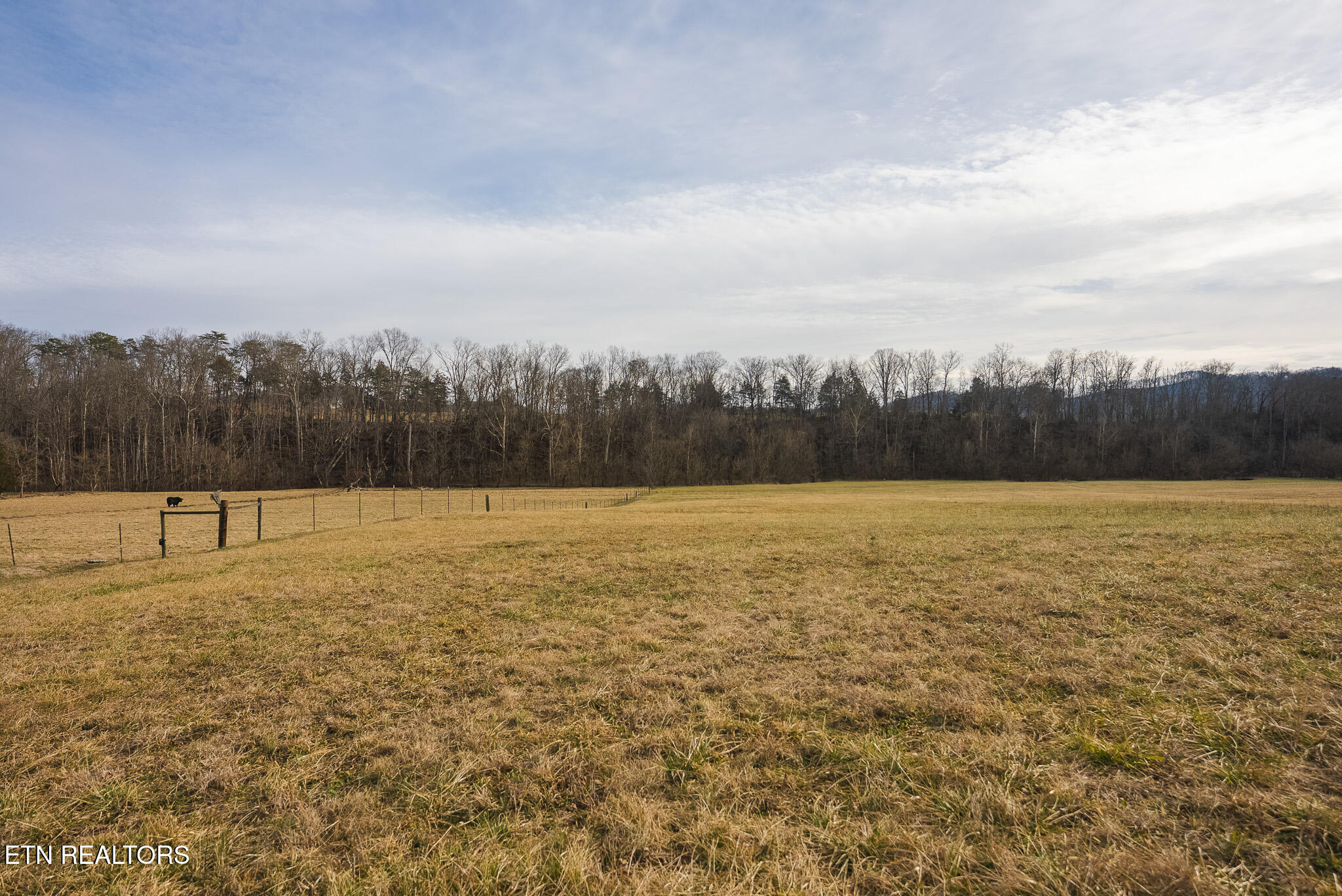 0 Cherry Street Rutledge TN 37861