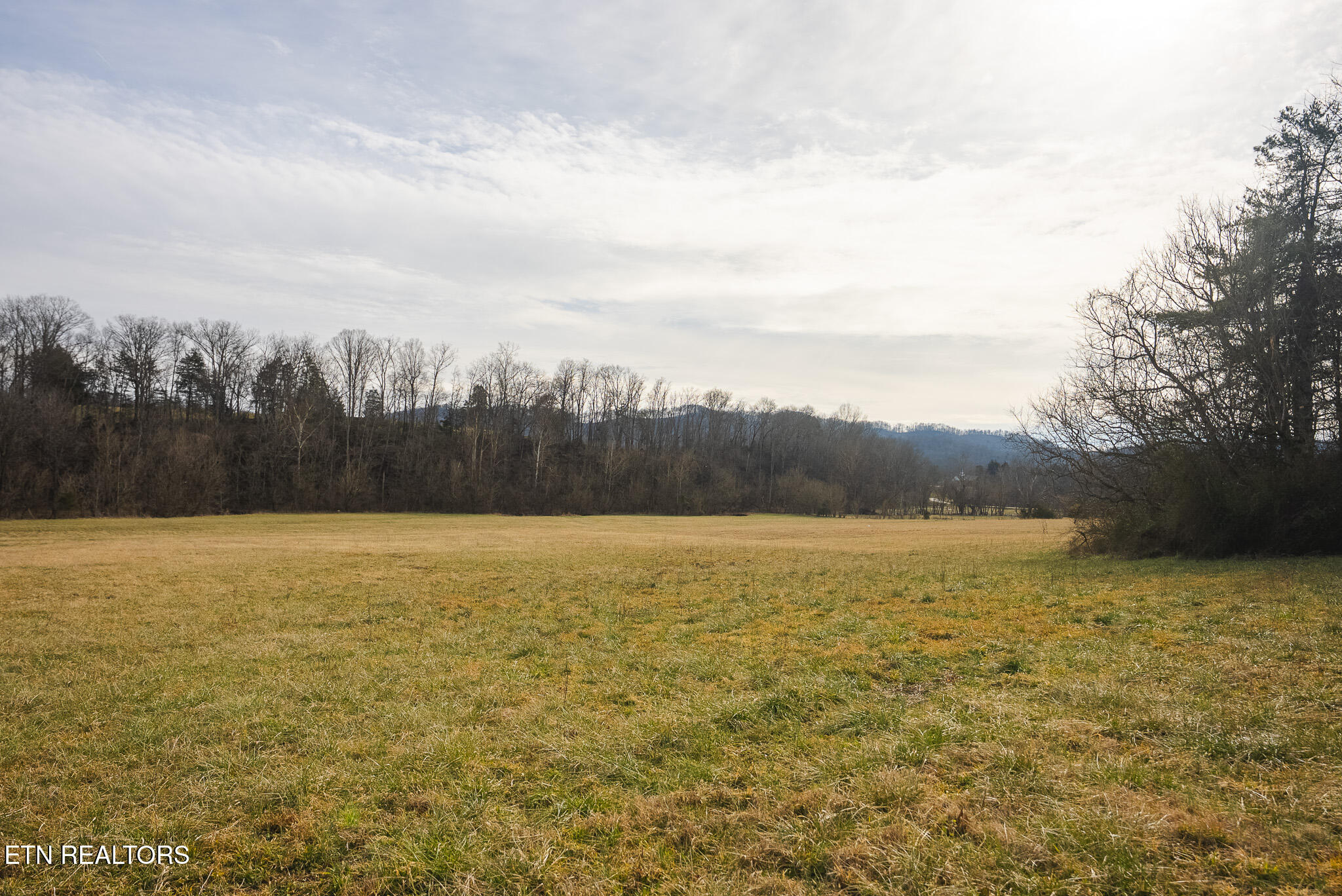 0 Cherry Street Rutledge TN 37861