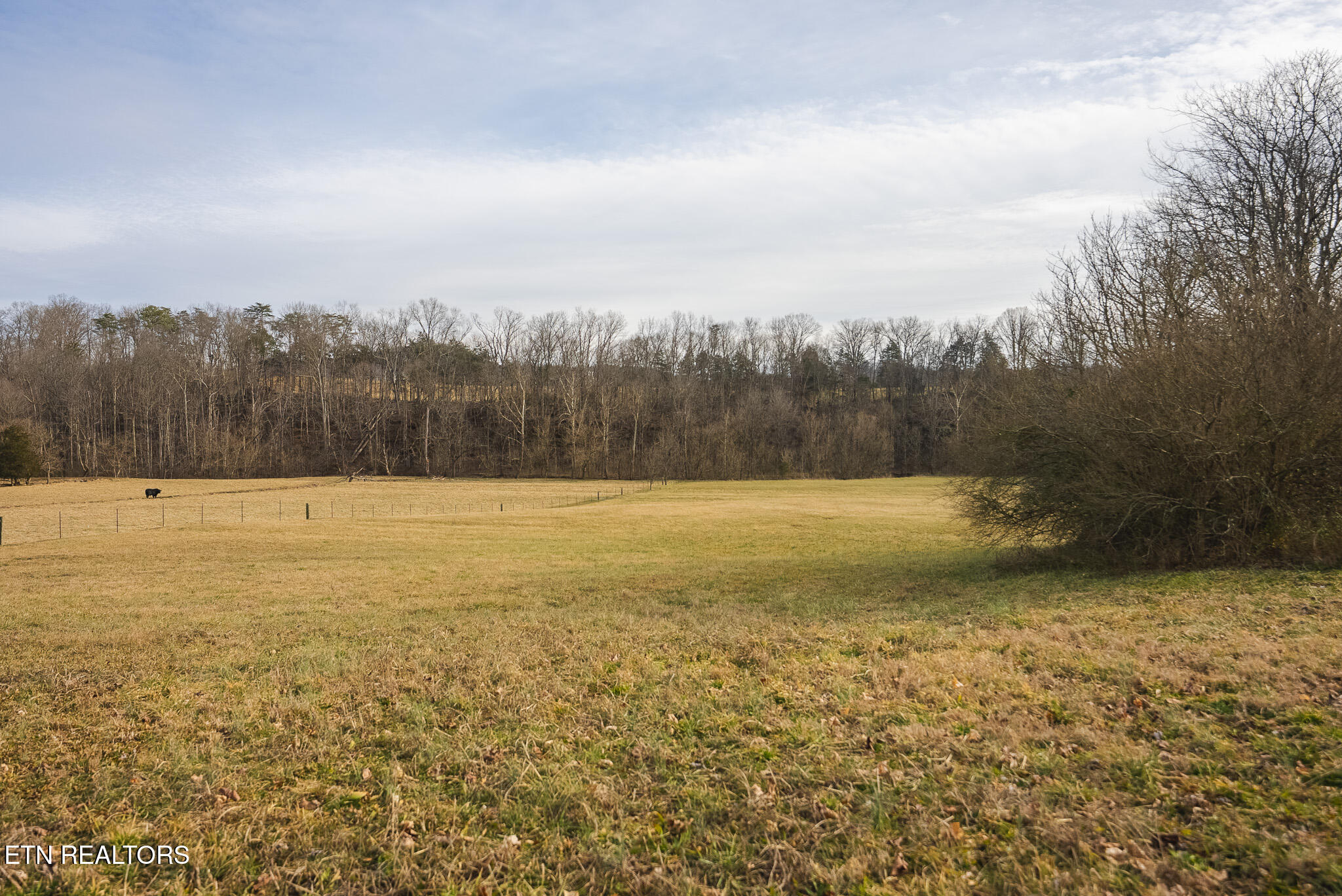 0 Cherry Street Rutledge TN 37861