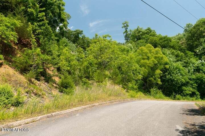 Lot 2 Penelope Lane Sevierville TN 37862