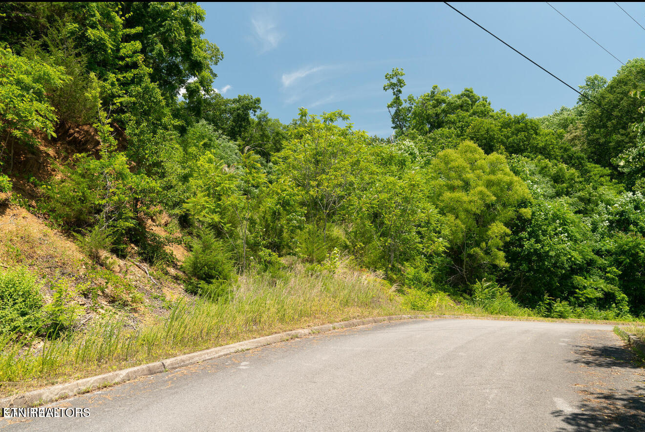 Lot 2 Penelope Lane Sevierville TN 37862