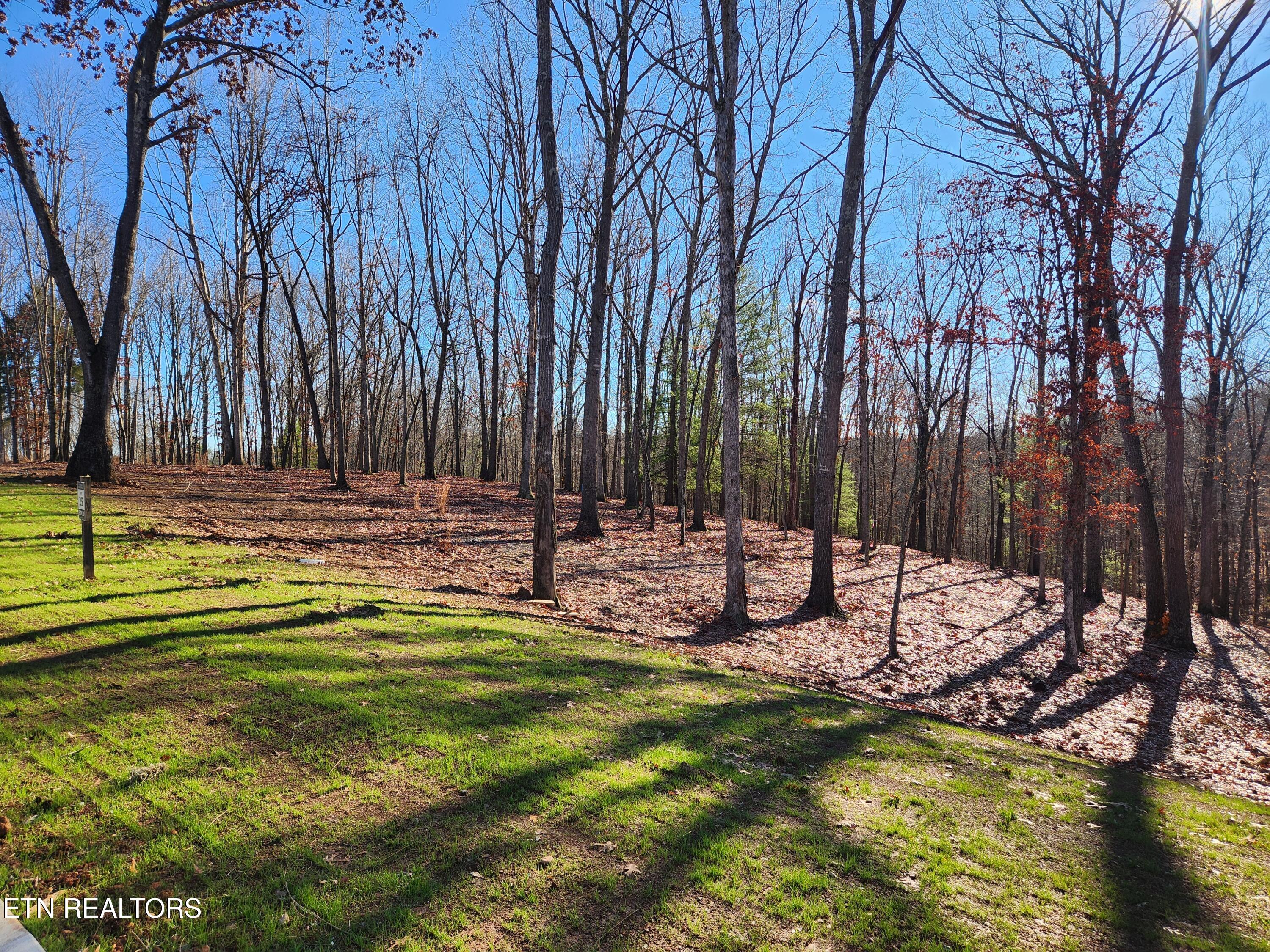 184 Hammock Court Loudon TN 37774