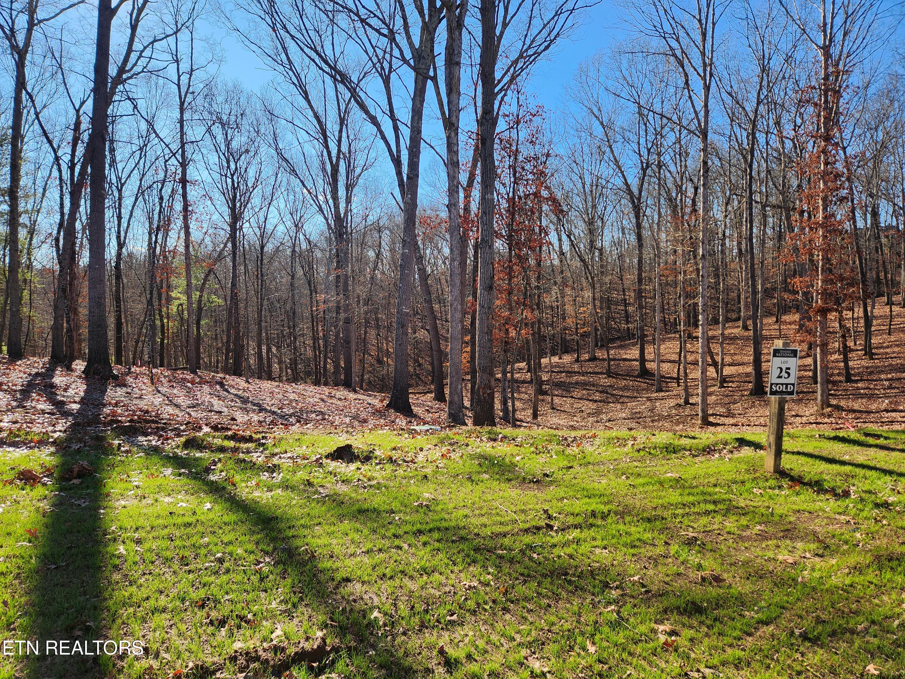 184 Hammock Court Loudon TN 37774
