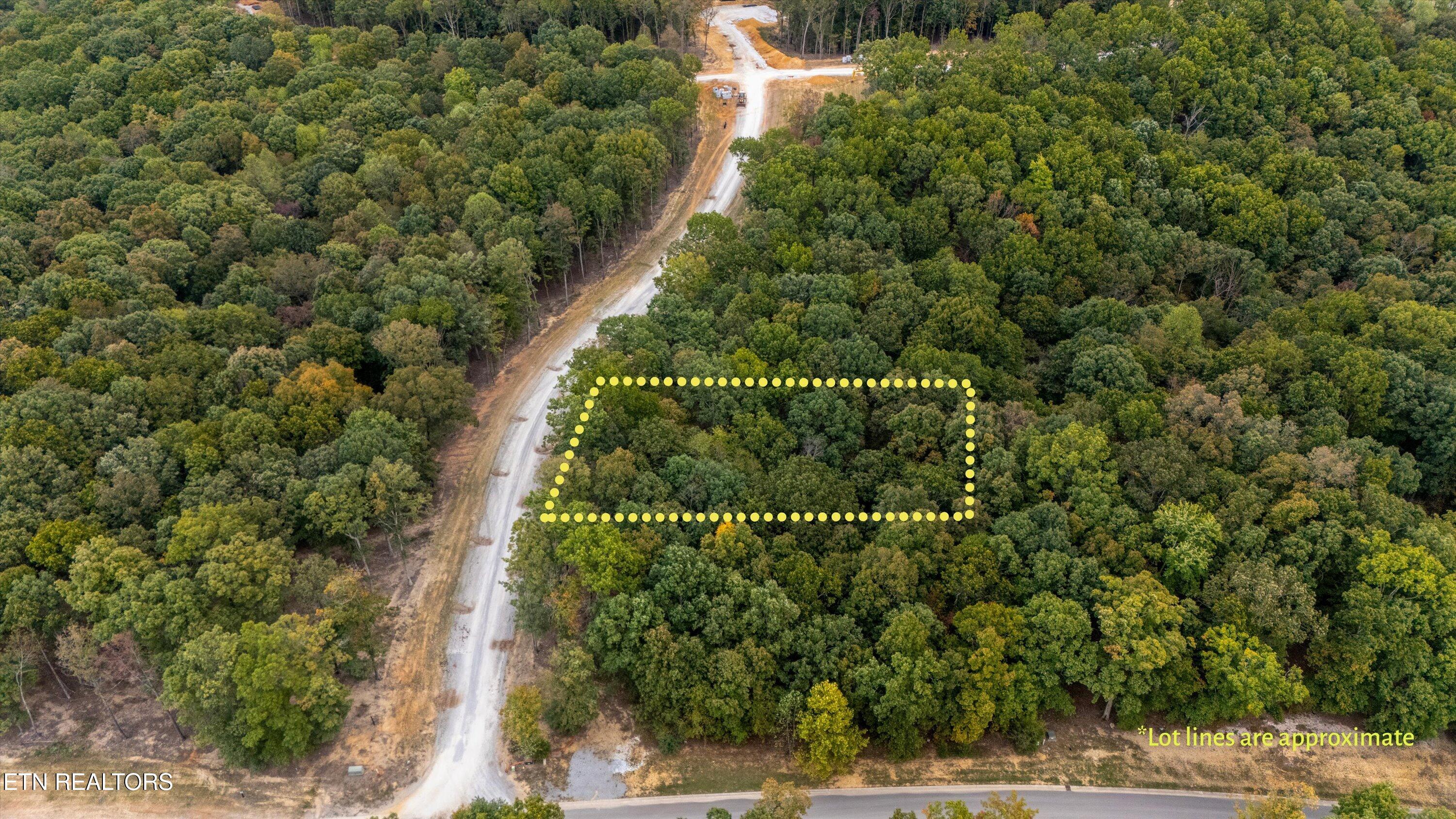 184 Hammock Court Loudon TN 37774