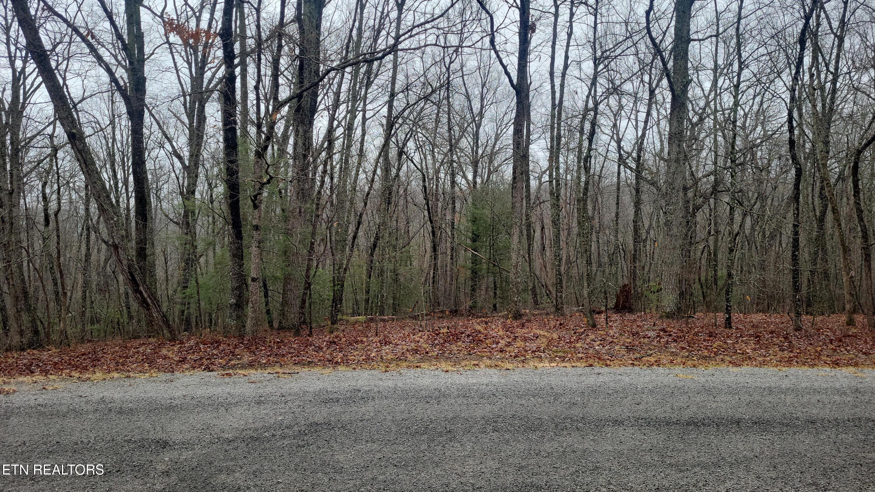 105 Melrose Place Crossville TN 38558