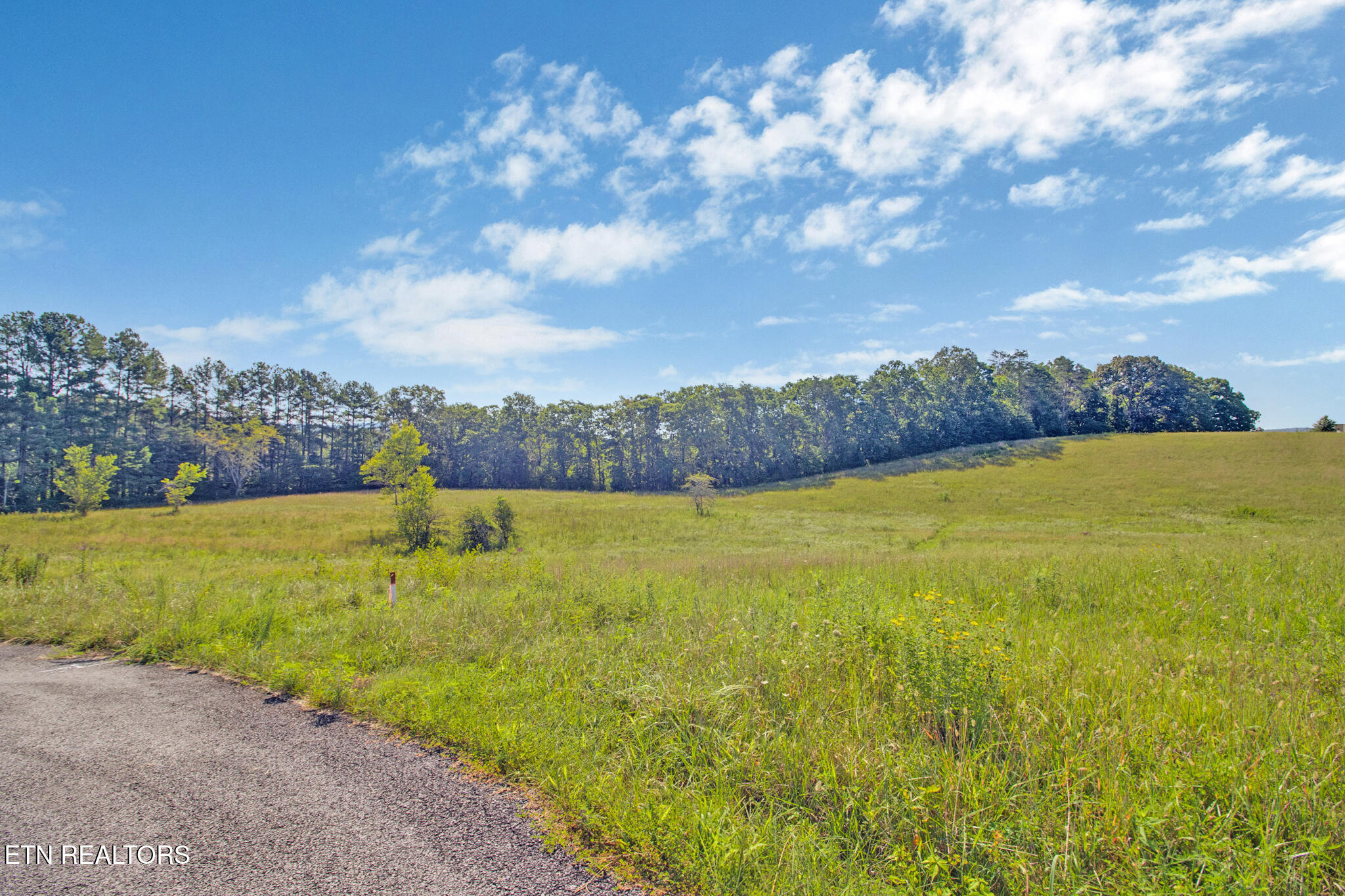 Lot 36 Estate Lane Crossville TN 38555