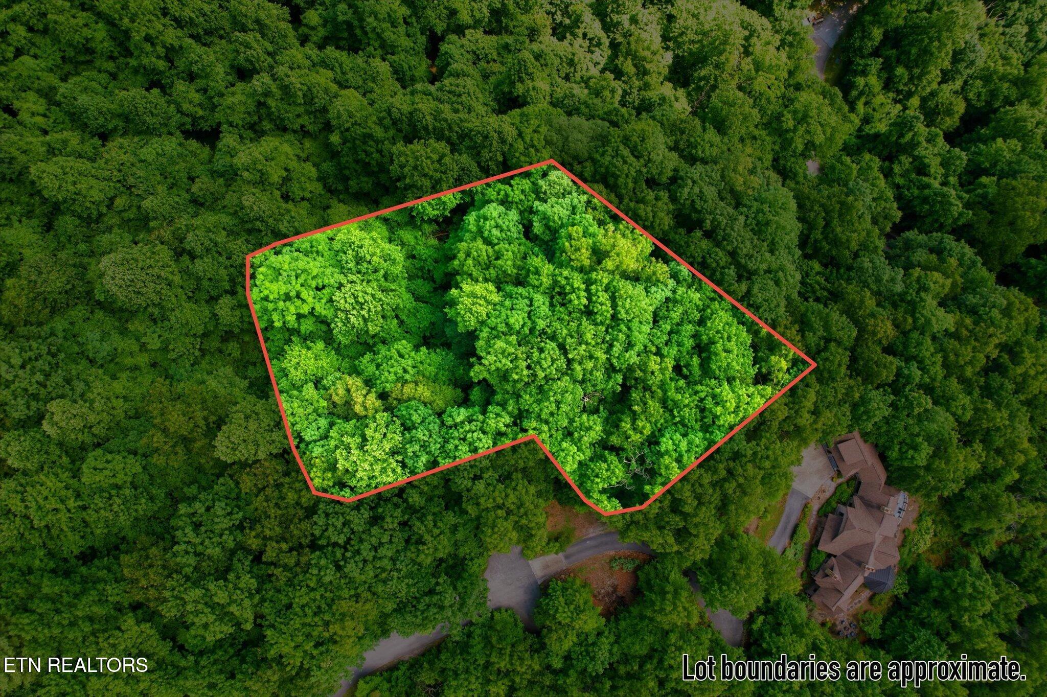 Woodfern Way Gatlinburg TN 37738
