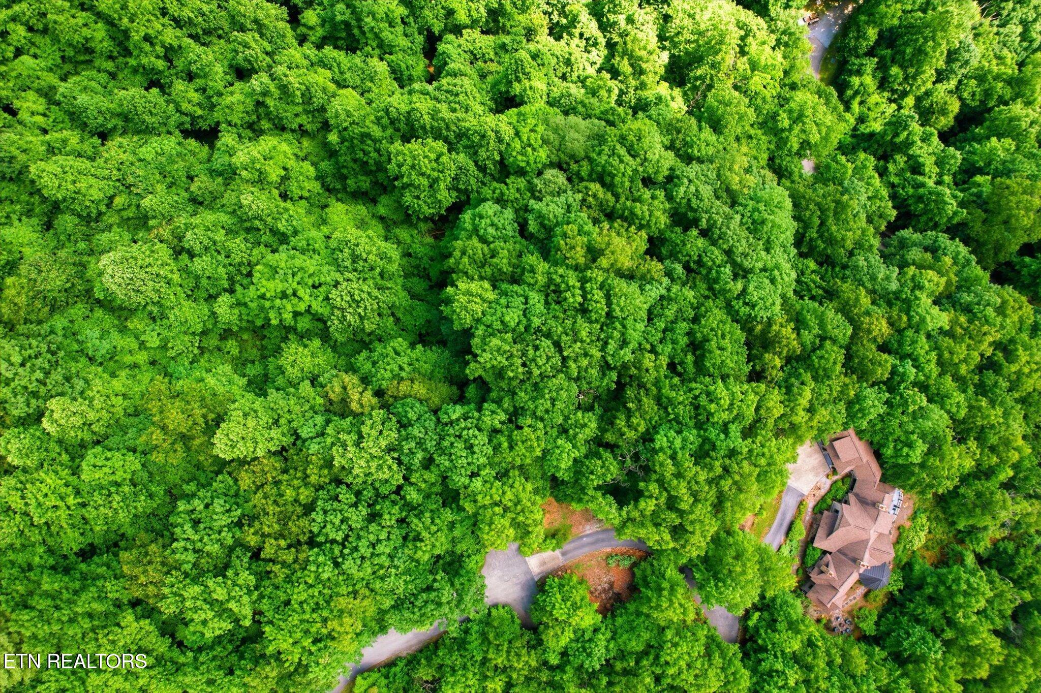 Woodfern Way Gatlinburg TN 37738