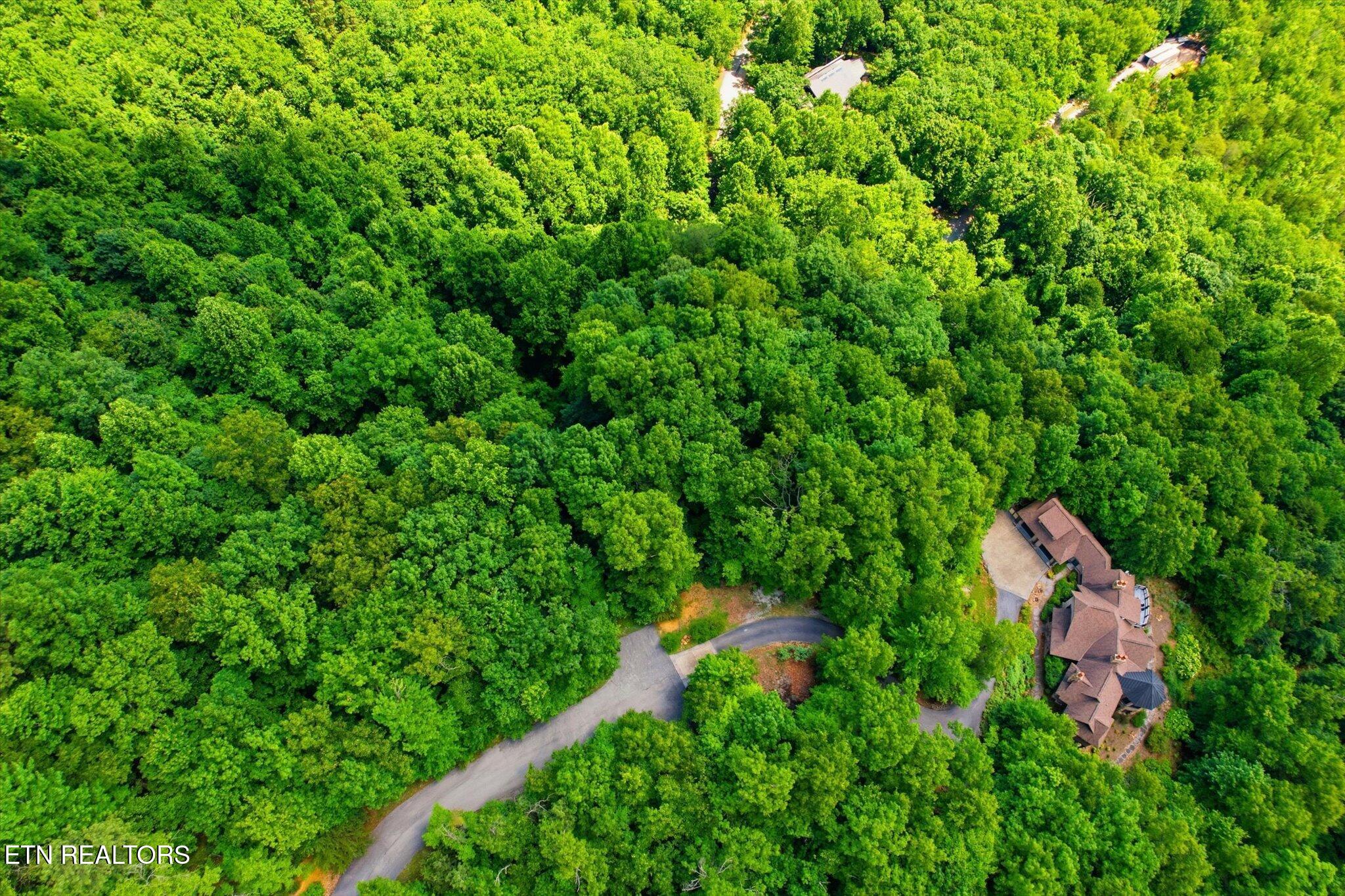 Woodfern Way Gatlinburg TN 37738