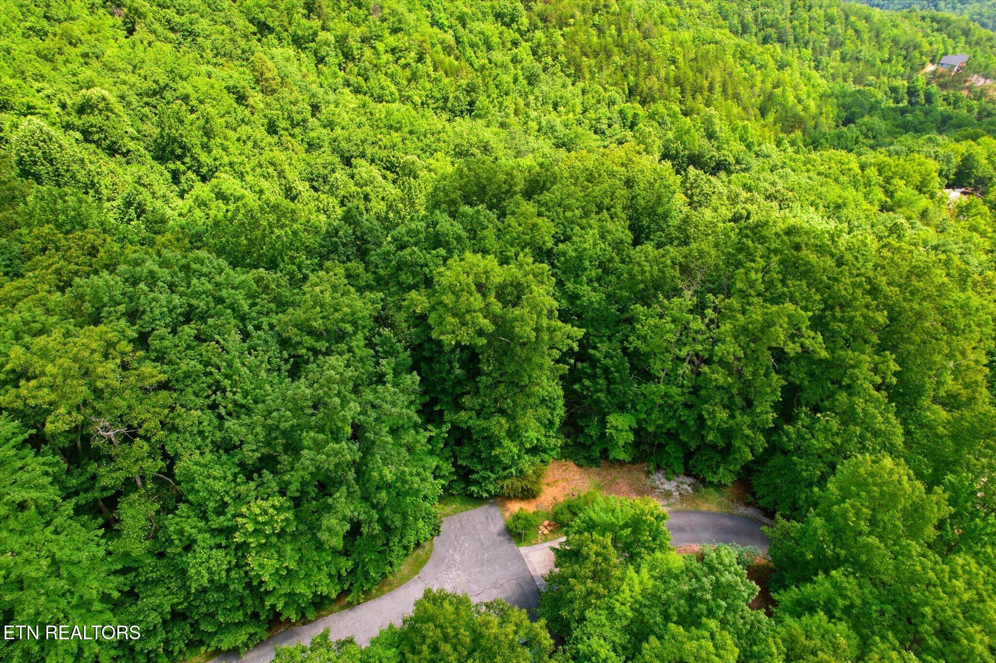 Woodfern Way Gatlinburg TN 37738
