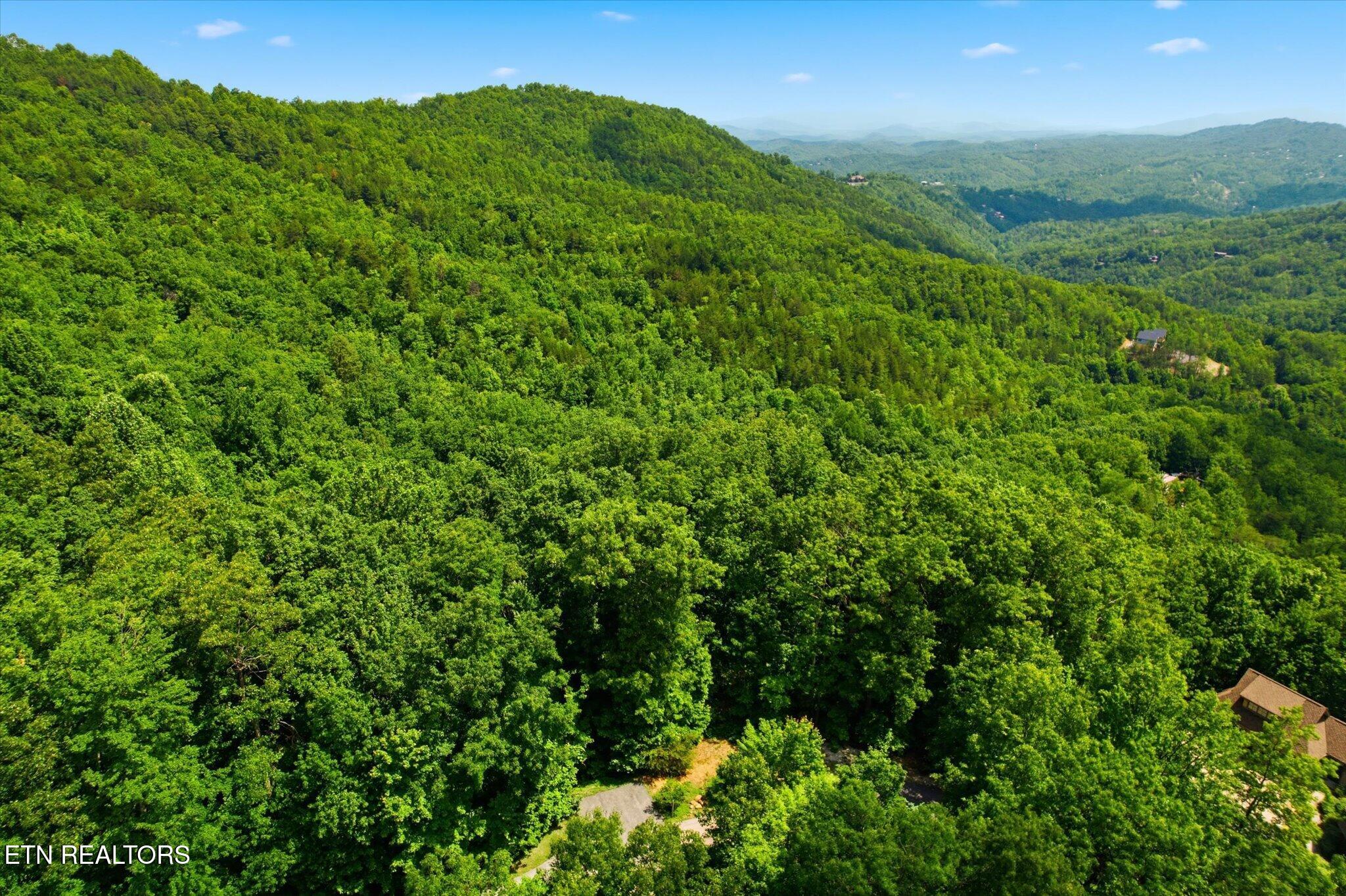 Woodfern Way Gatlinburg TN 37738