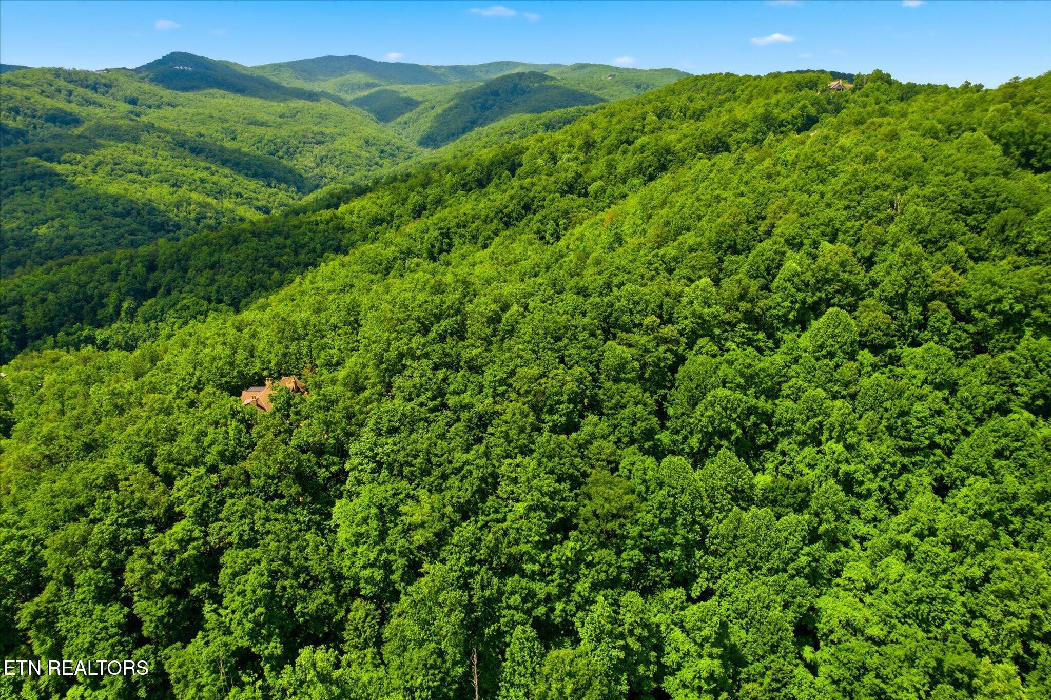 Woodfern Way Gatlinburg TN 37738
