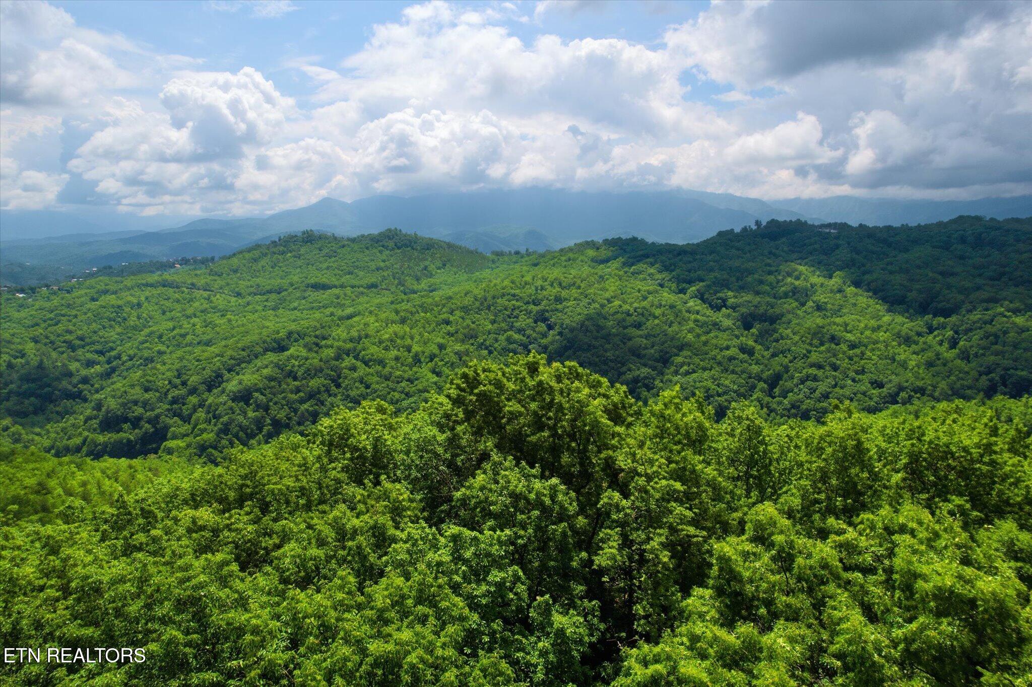 Woodfern Way Gatlinburg TN 37738