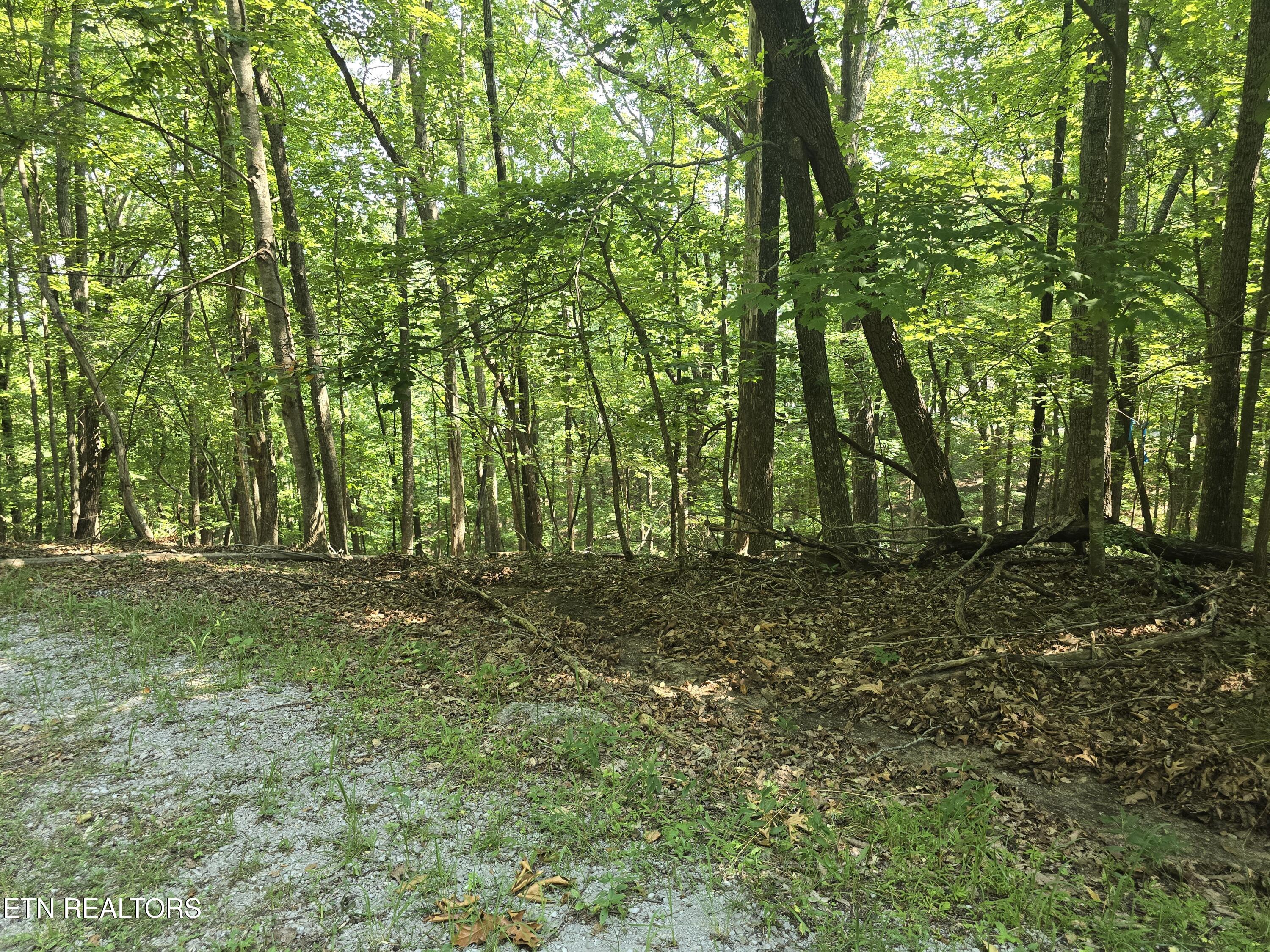 16 Trentwood Terrace Crossville TN 38558