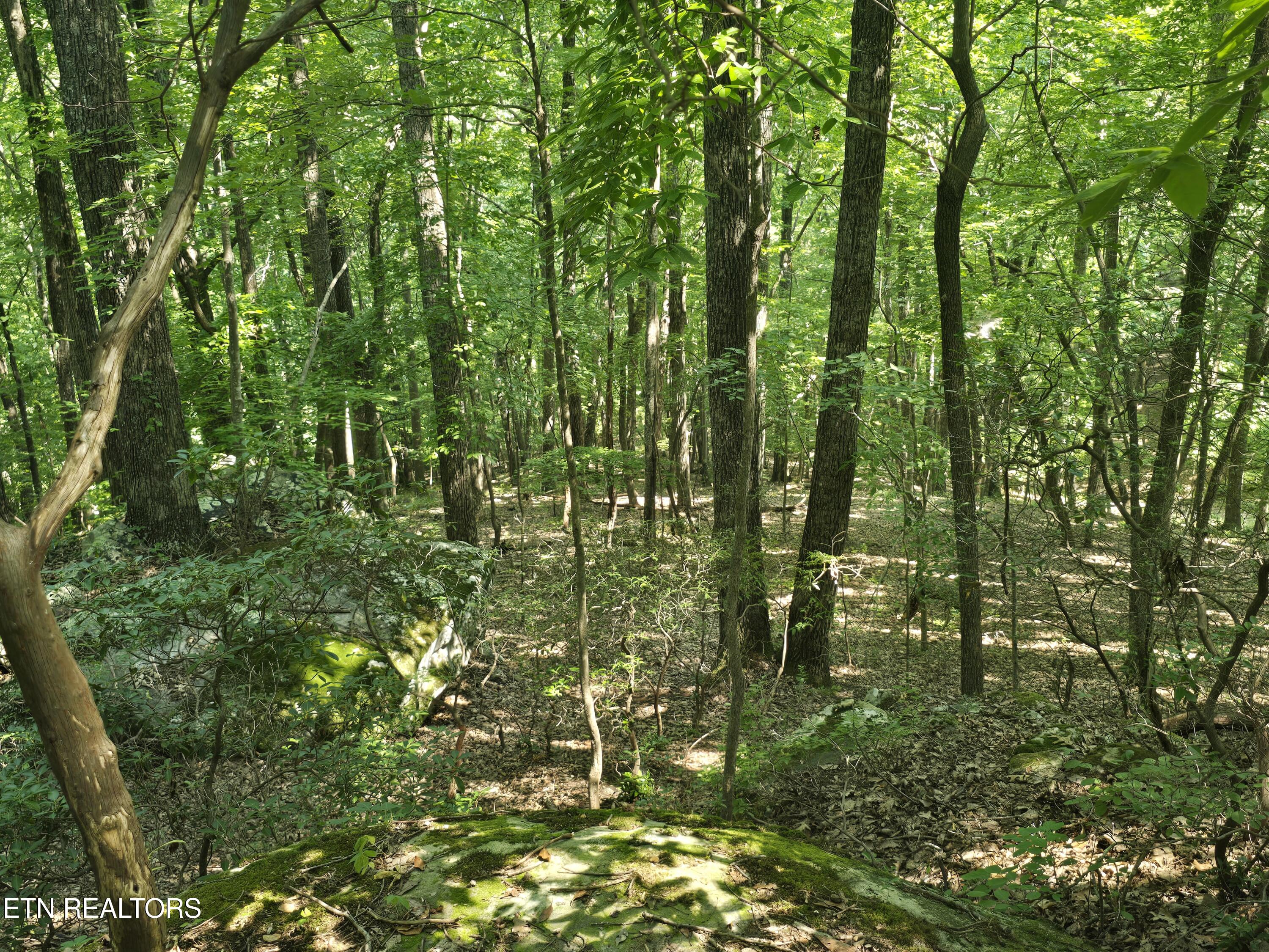 16 Trentwood Terrace Crossville TN 38558