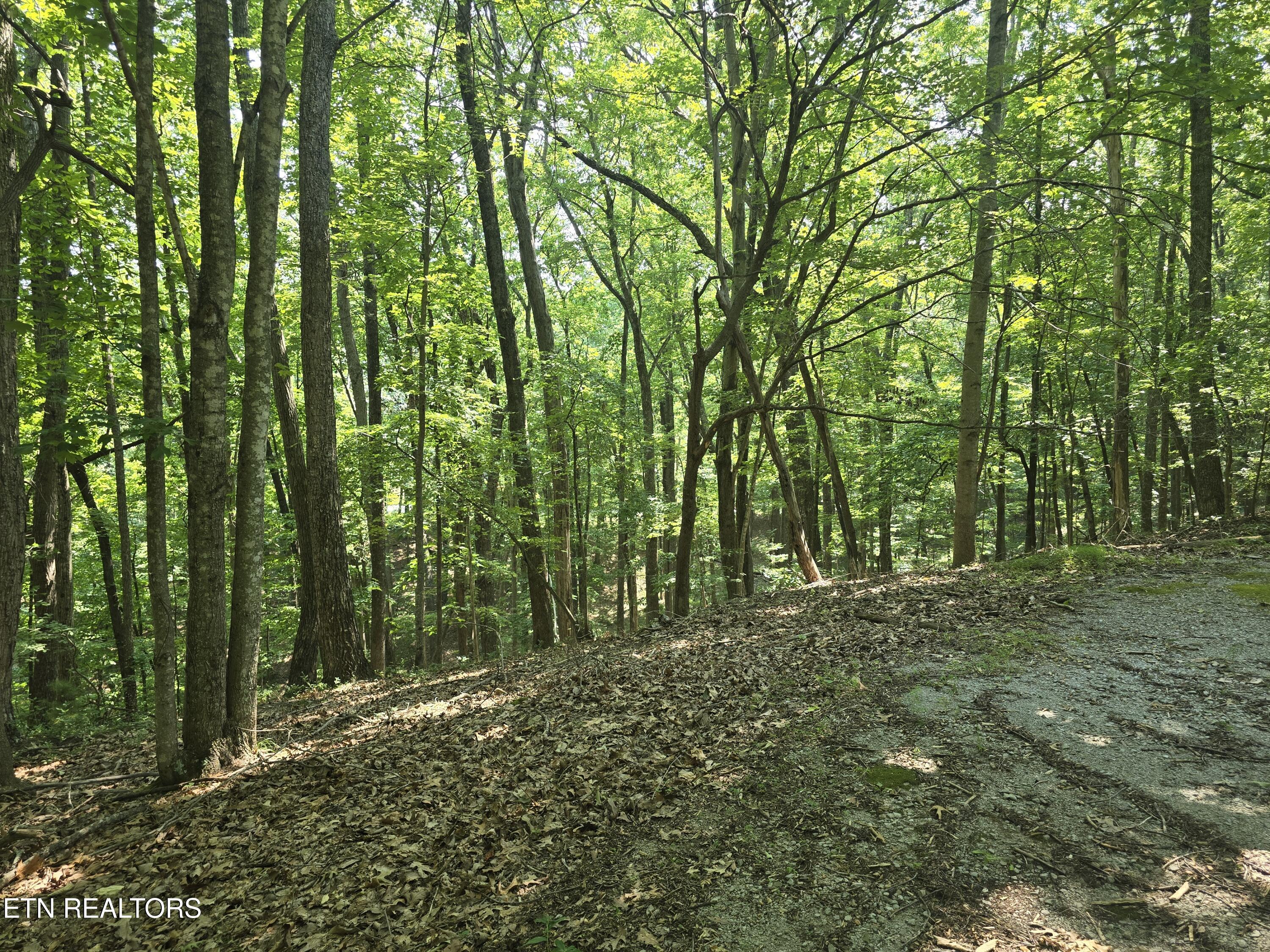 16 Trentwood Terrace Crossville TN 38558