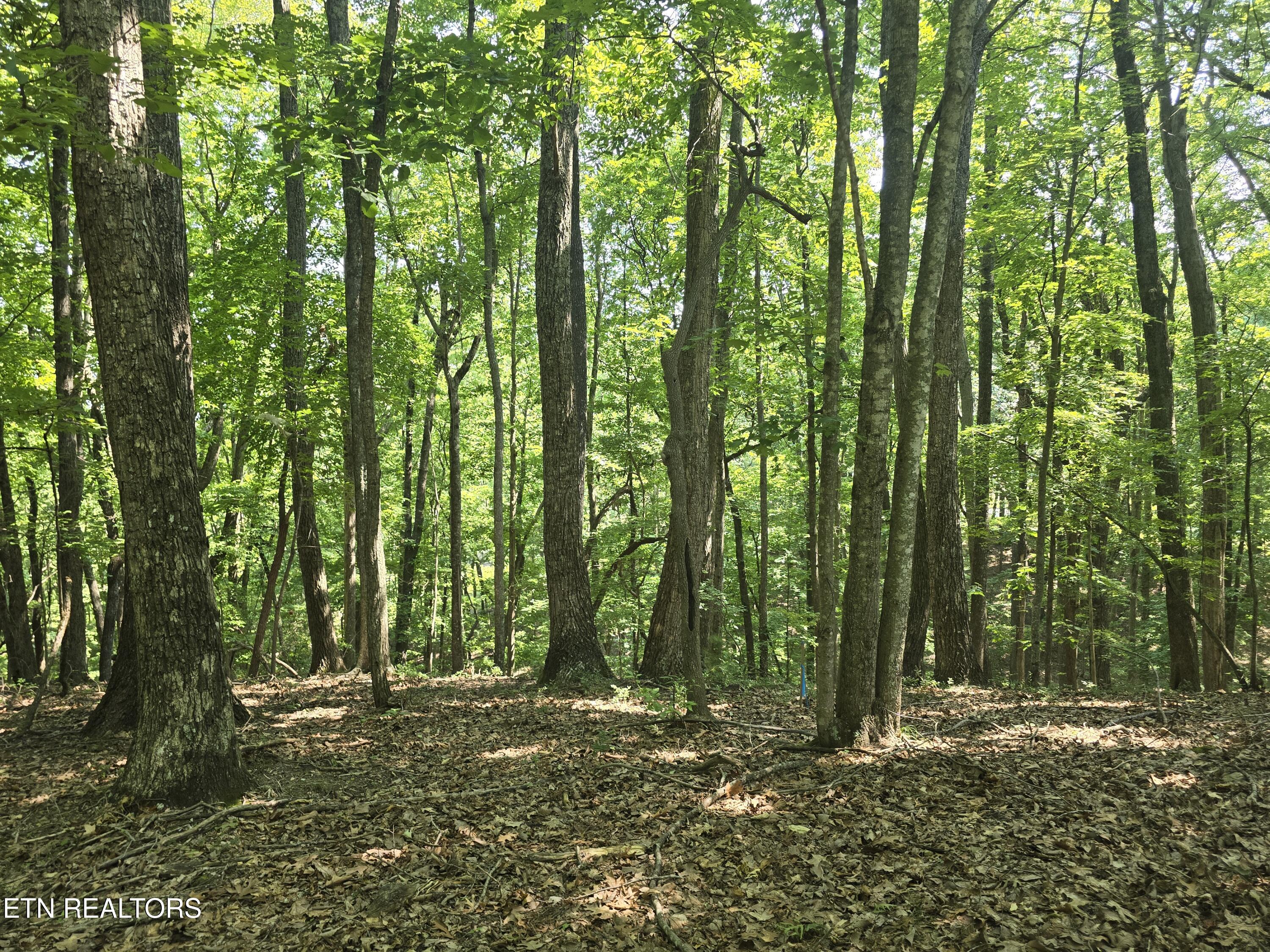 16 Trentwood Terrace Crossville TN 38558