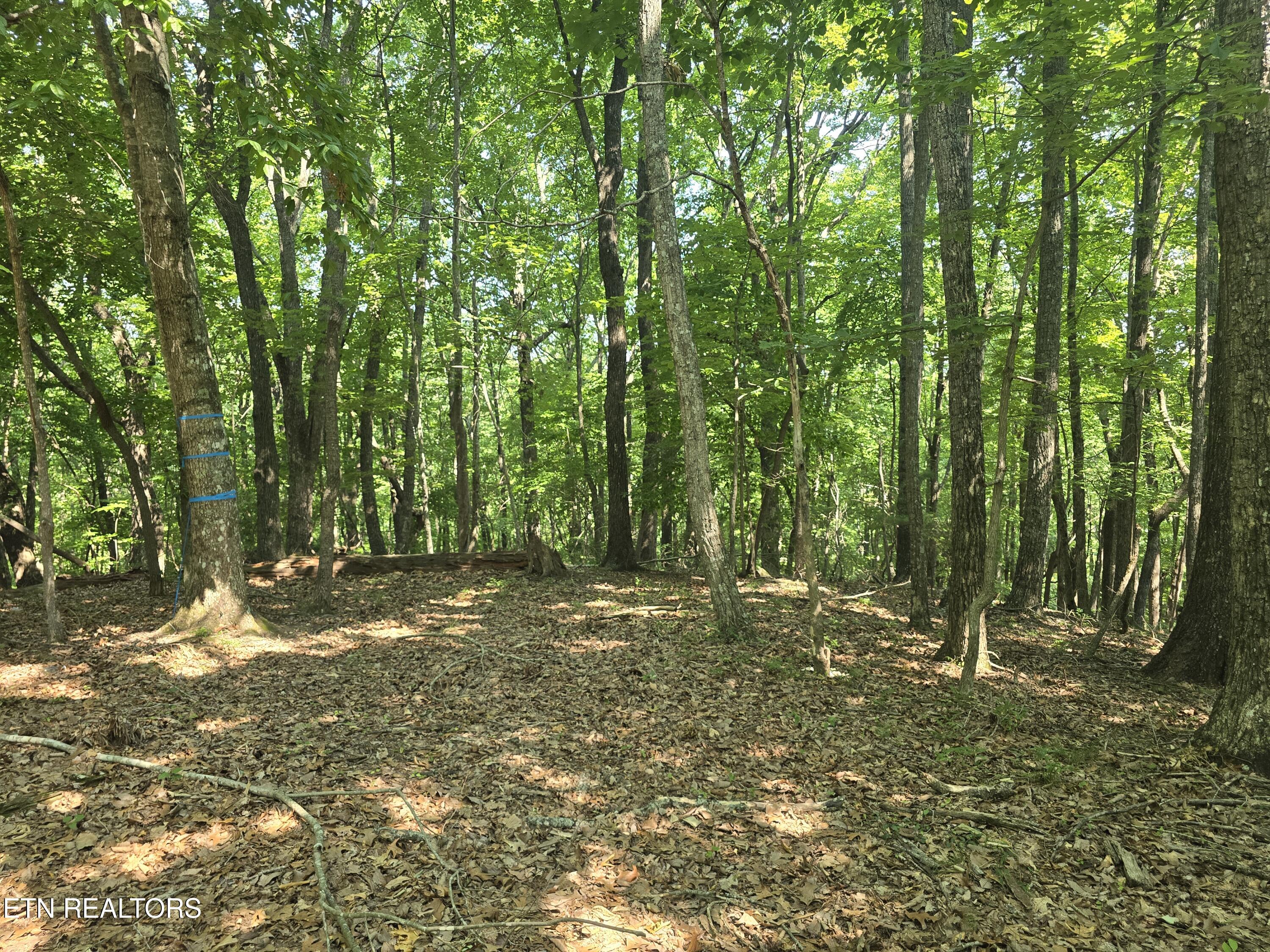 16 Trentwood Terrace Crossville TN 38558