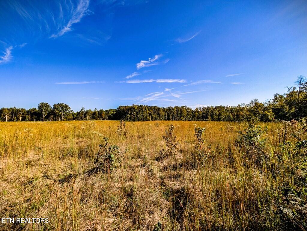 157 Hardscrabble Lane Cookeville TN 38501