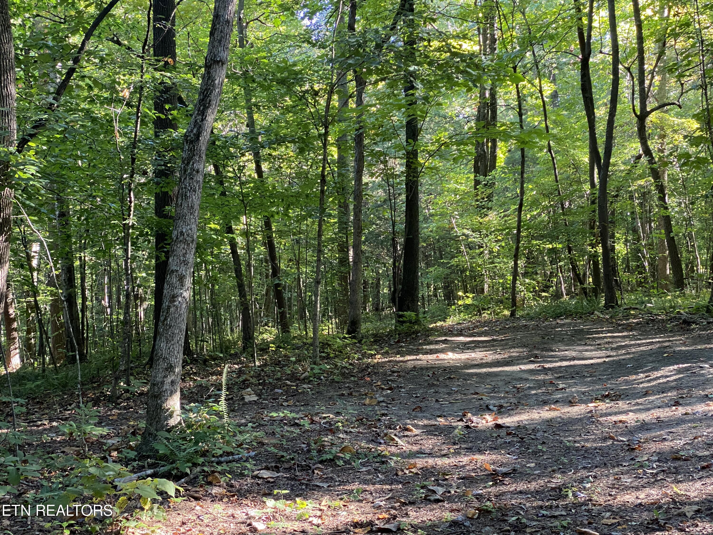 0 Conner Road Powell TN 37849