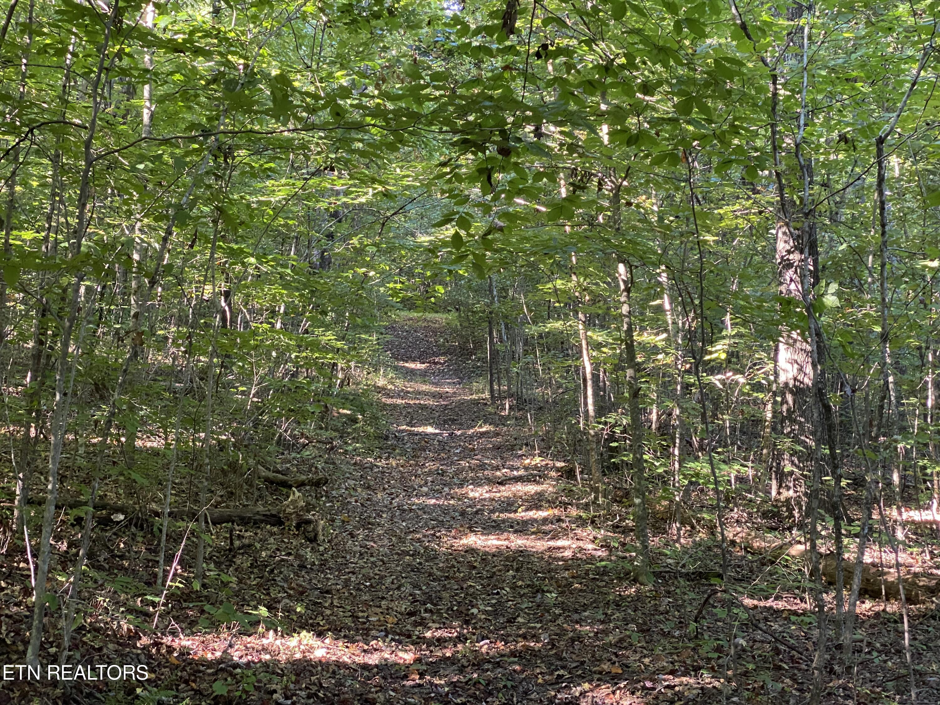 0 Conner Road Powell TN 37849
