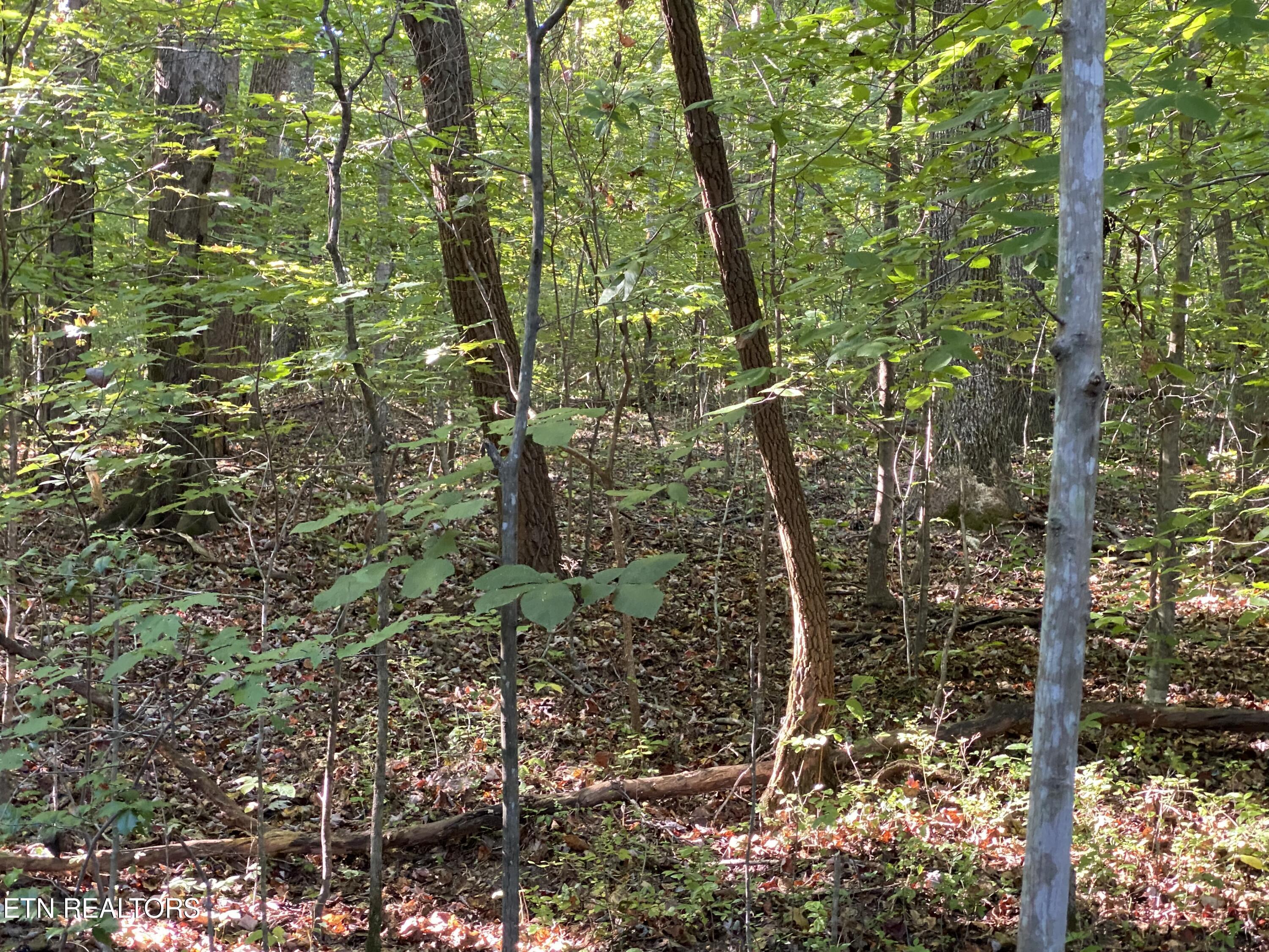 0 Conner Road Powell TN 37849