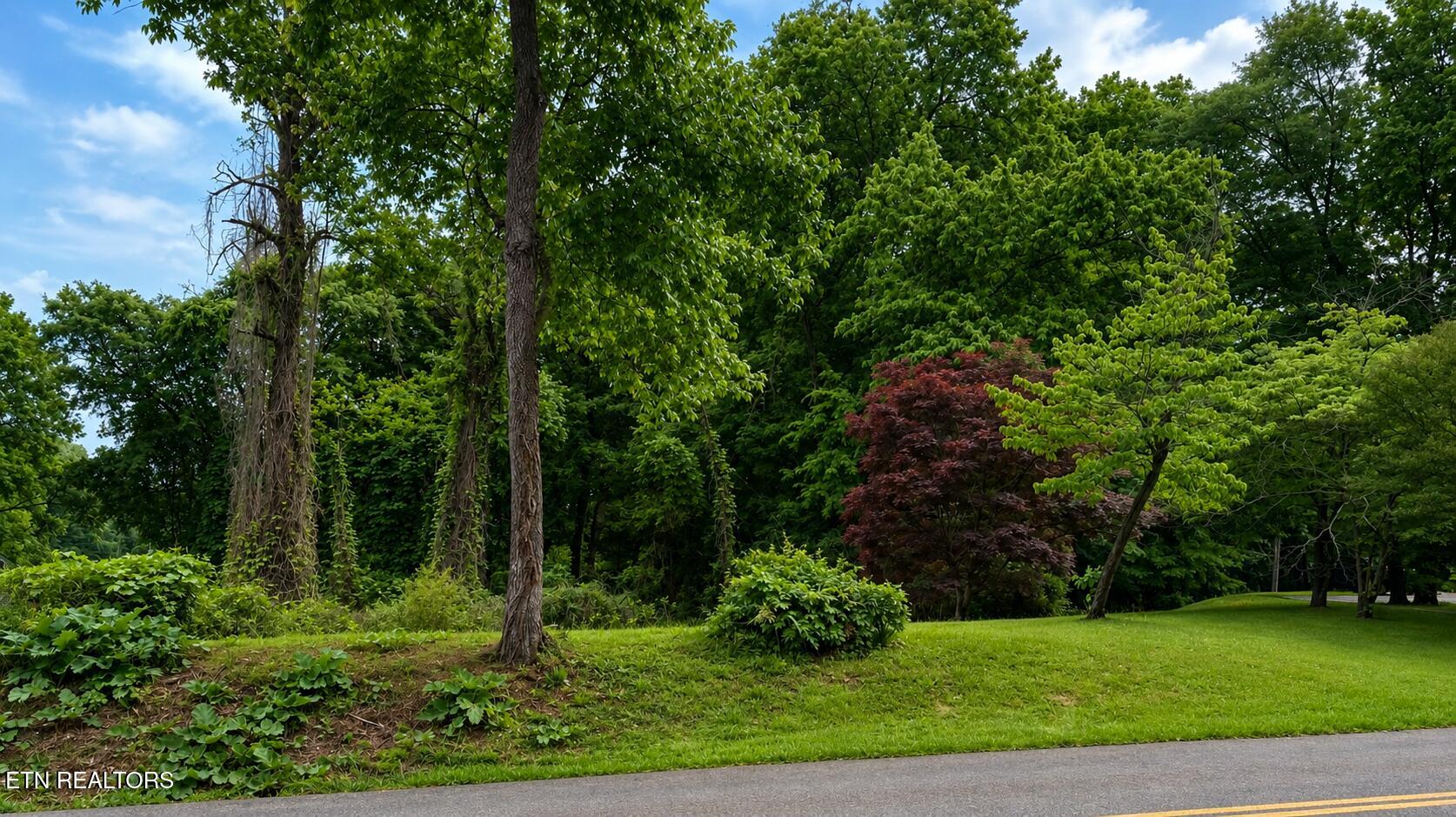0 Dandridge Avenue Knoxville TN 37915