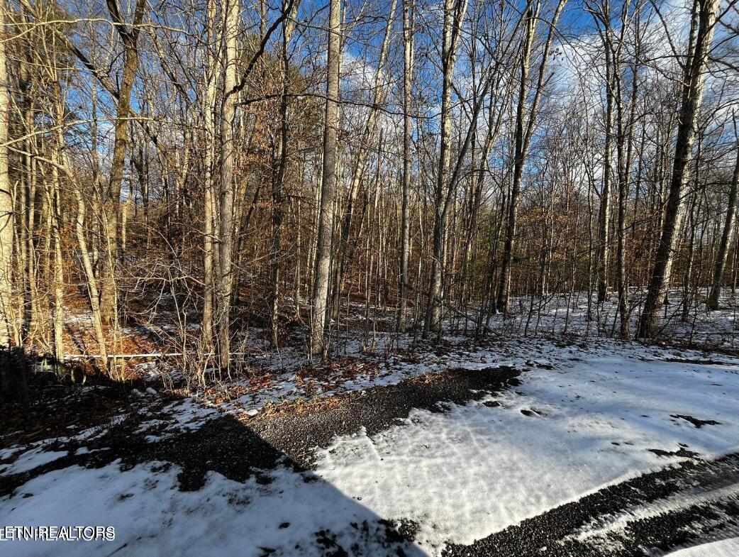 Lot 4 Evergreen Drive Oneida TN 37841