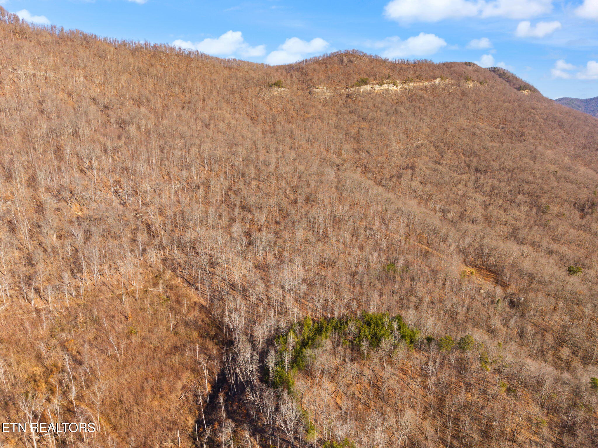 Greene Lane E Of Lafollette TN 37766