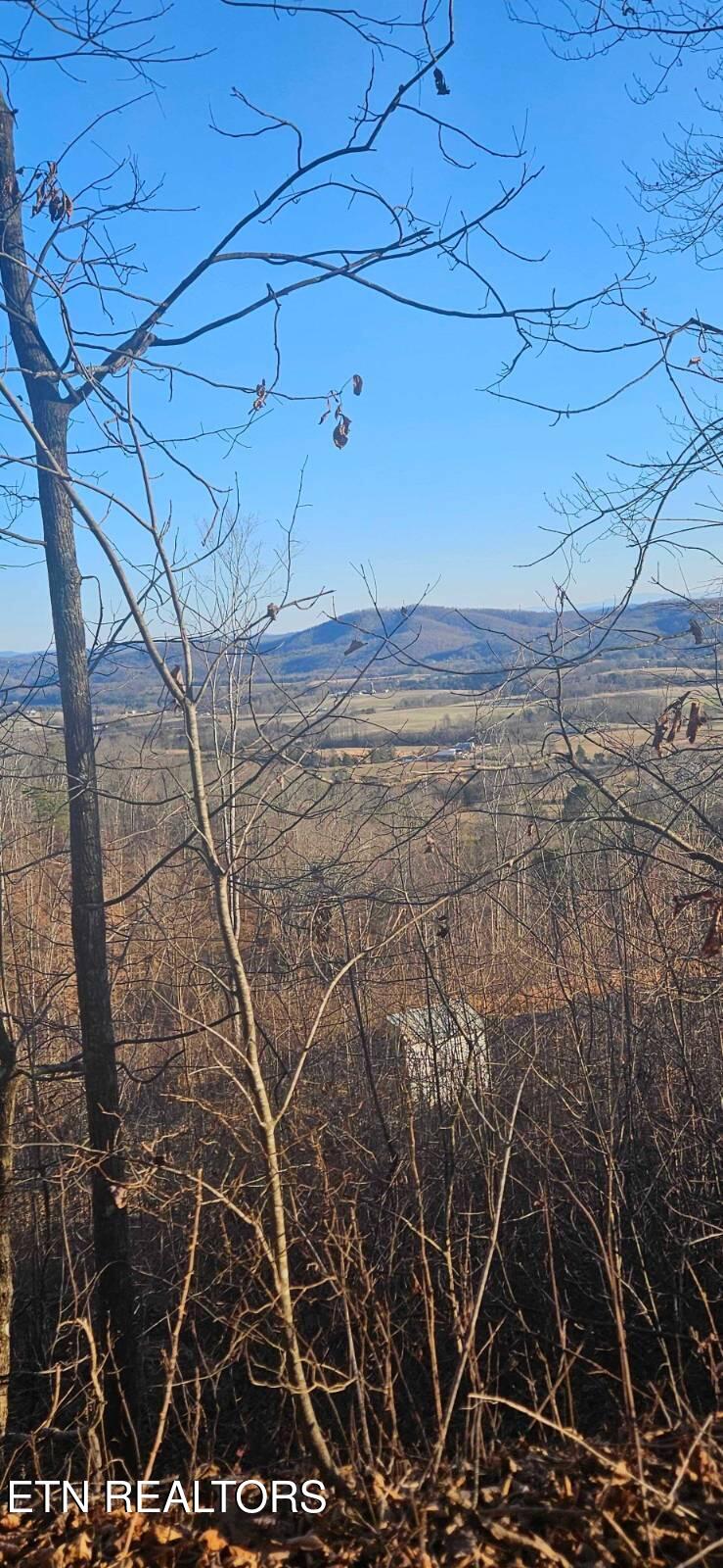 Greene Lane E Of Lafollette TN 37766