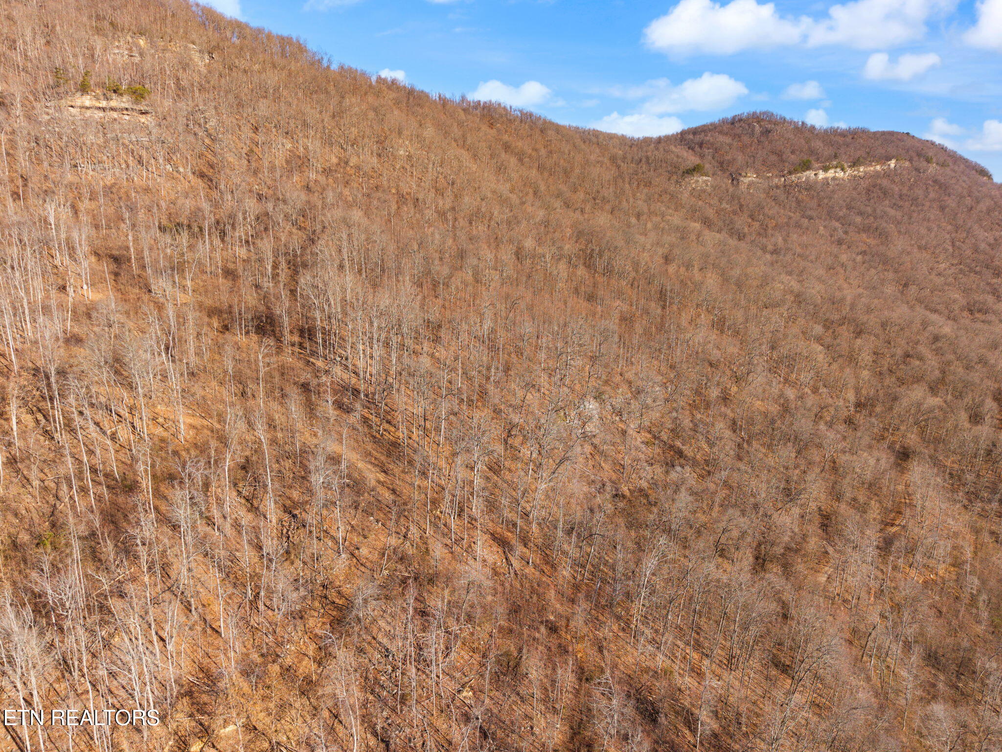Greene Lane E Of Lafollette TN 37766