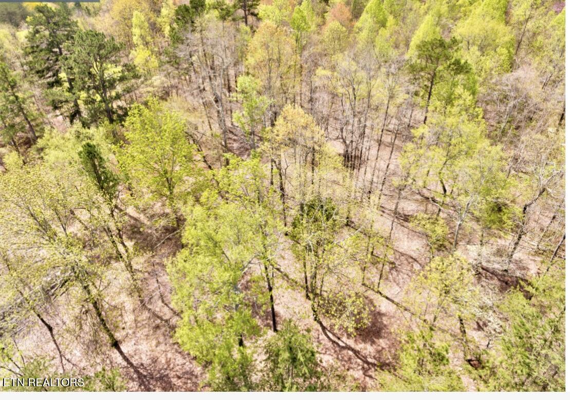 106 Blue Herron Drive Lenoir City TN 37772