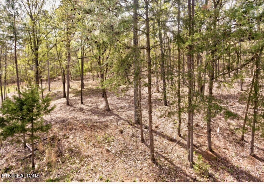 106 Blue Herron Drive Lenoir City TN 37772
