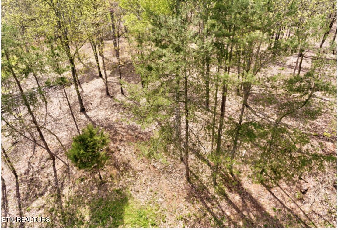 106 Blue Herron Drive Lenoir City TN 37772