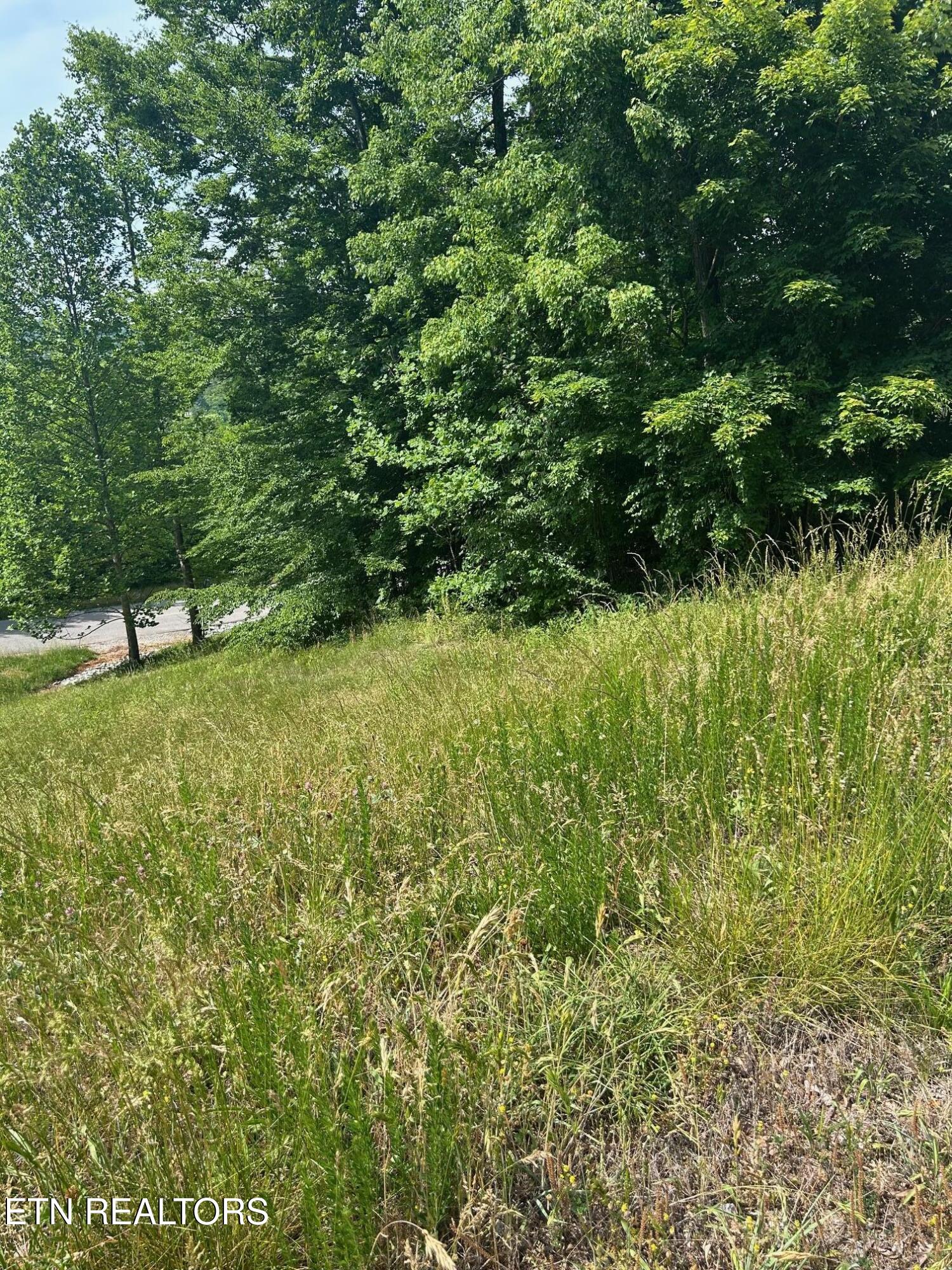 Lot 214 Suncrest Cove Lafollette TN 37766