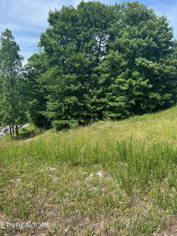 lot 214 Suncrest Cove LaFollette TN 37766