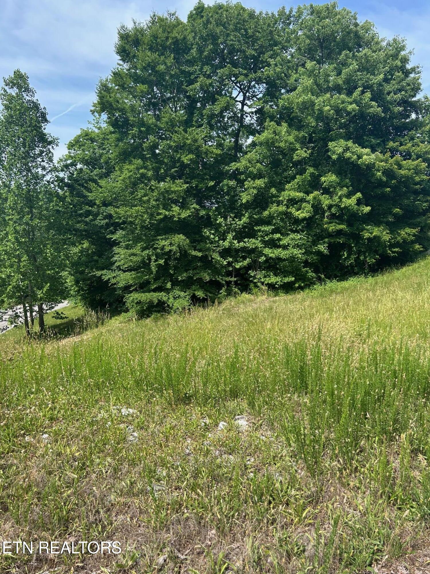 Lot 214 Suncrest Cove Lafollette TN 37766