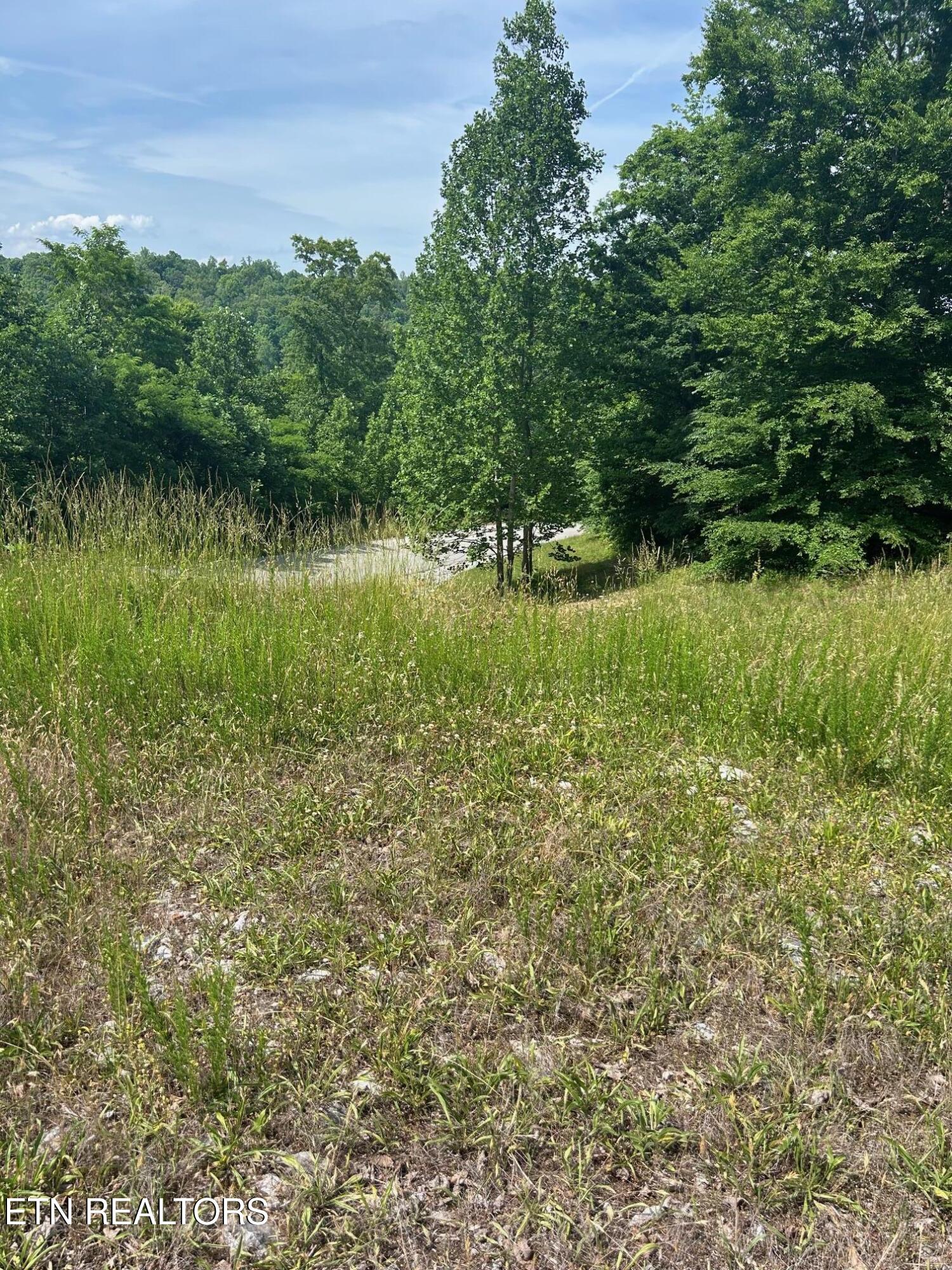 Lot 214 Suncrest Cove Lafollette TN 37766