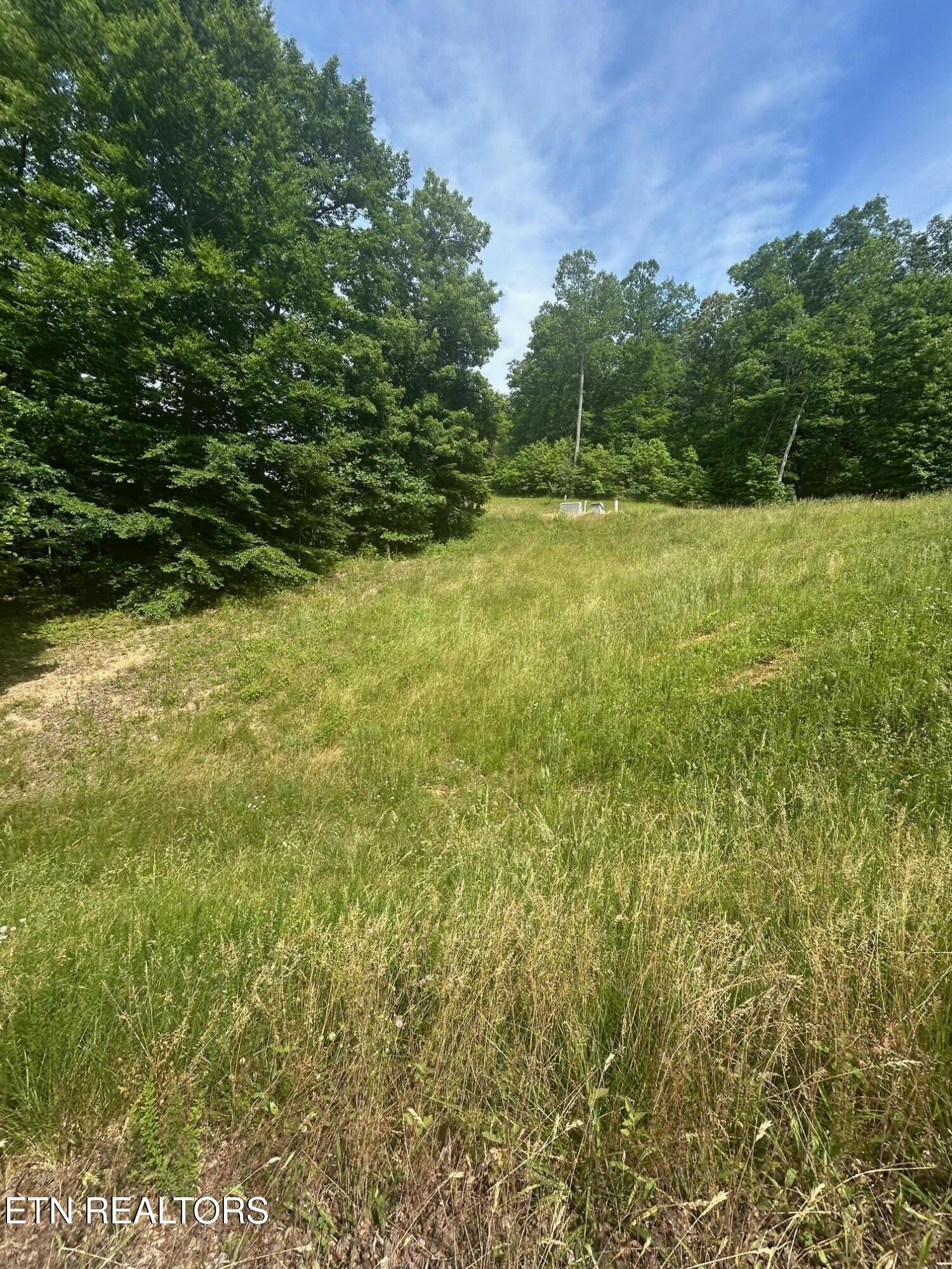 Lot 214 Suncrest Cove Lafollette TN 37766