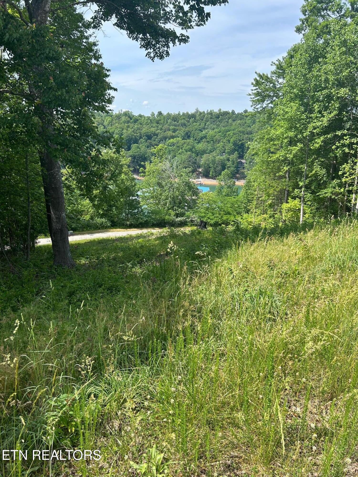 Lot 214 Suncrest Cove Lafollette TN 37766